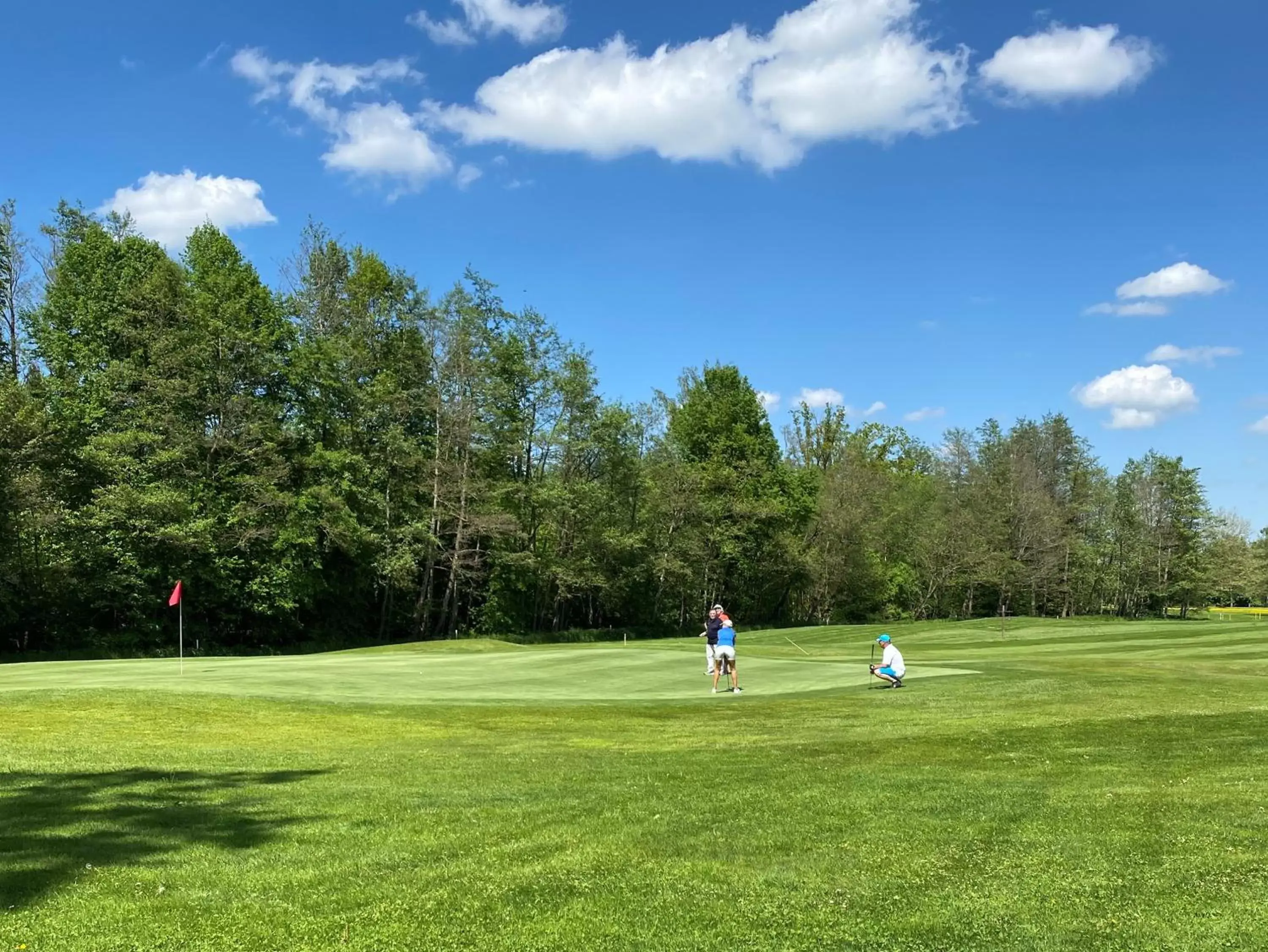 Swimming pool, Golf in Steigenberger Hotel Der Sonnenhof