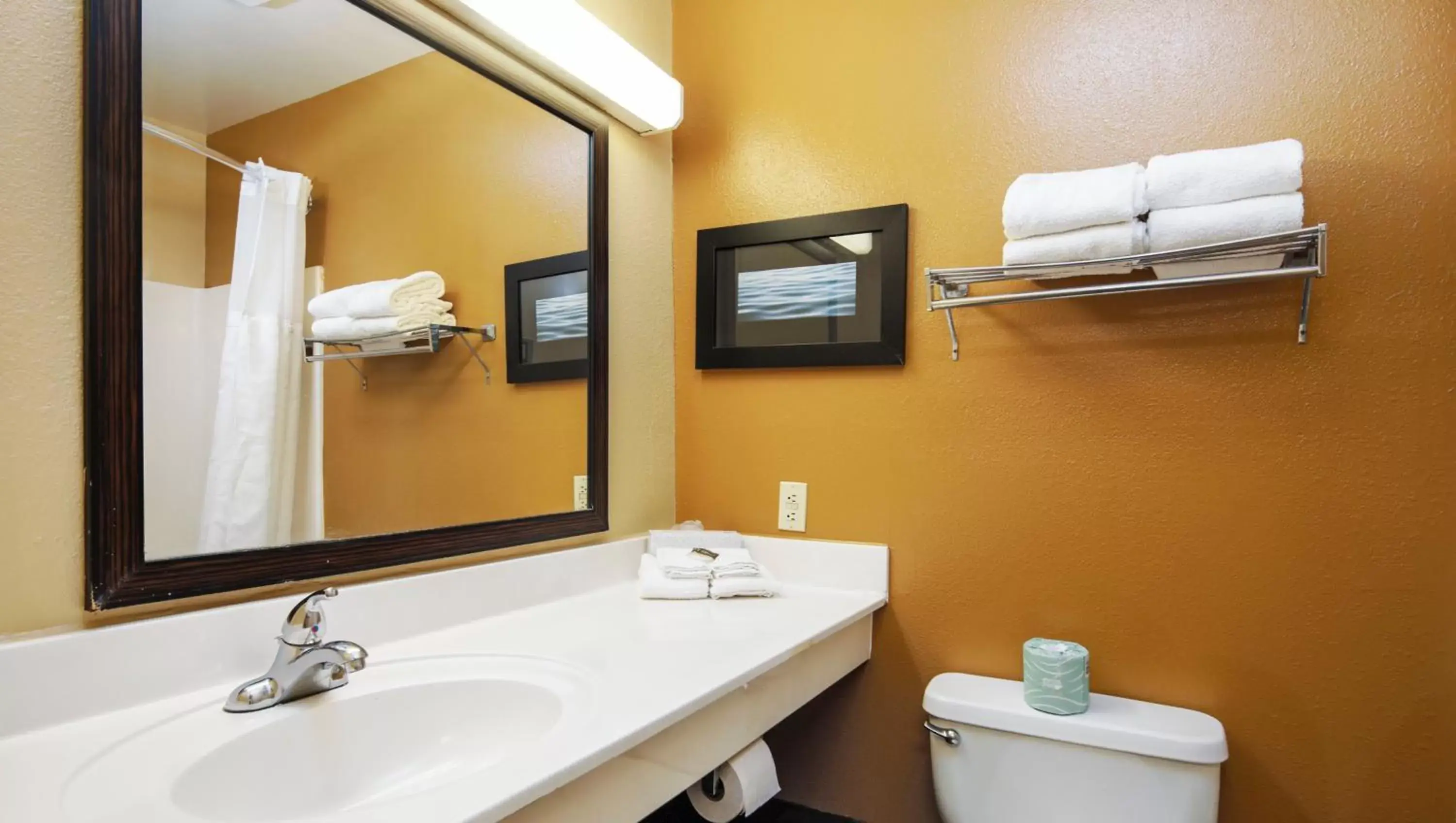 Bathroom in Home 1 Suites Extended Stay