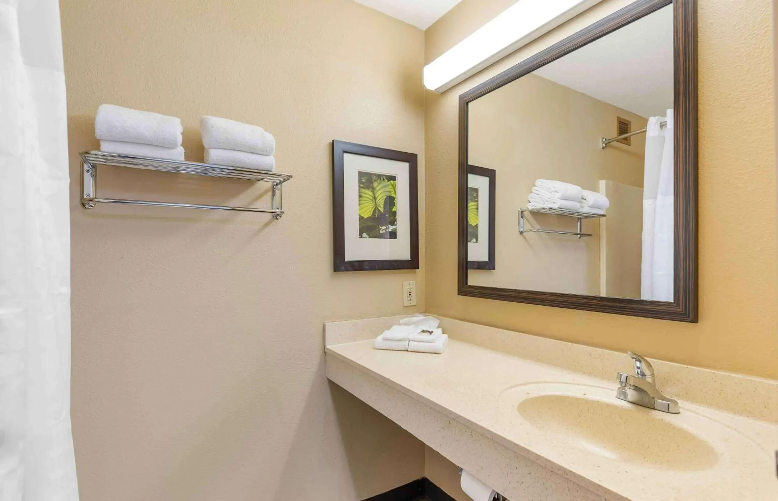 Bathroom in Extended Stay America Suites - St Louis - Westport - East Lackland Rd