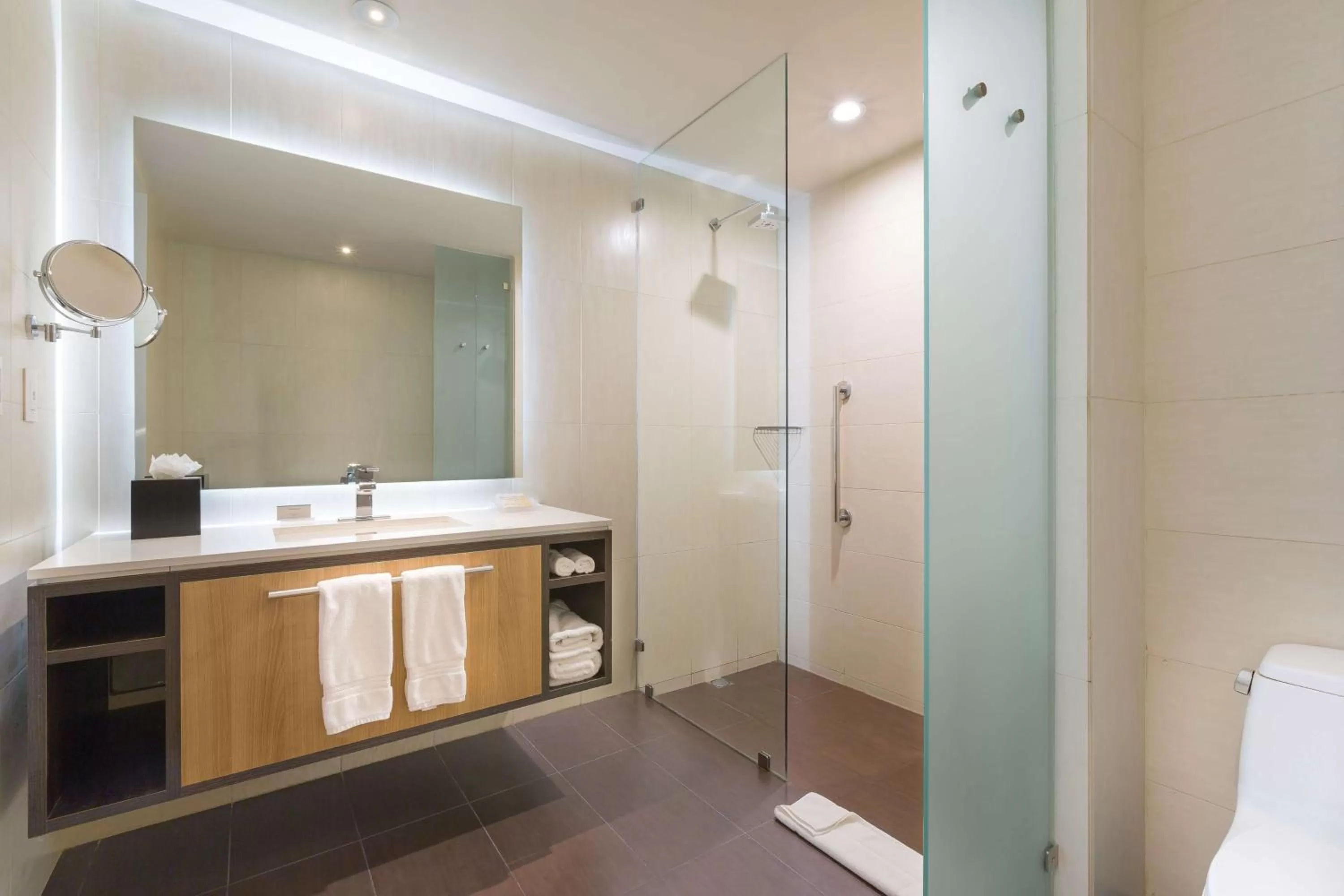 Bathroom in Hilton Garden Inn San Jose La Sabana, Costa Rica