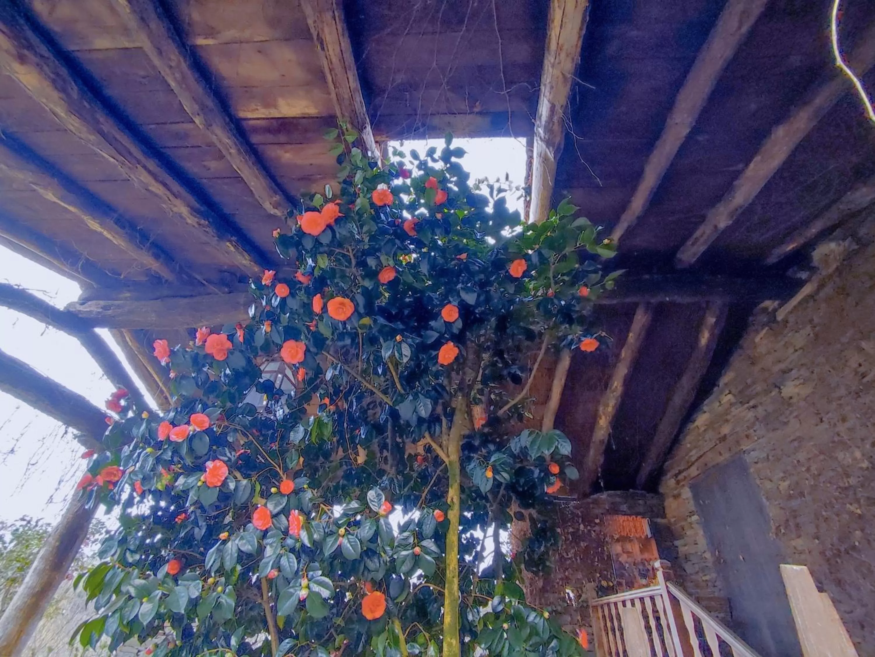 Area and facilities in Hotel Casa de Díaz