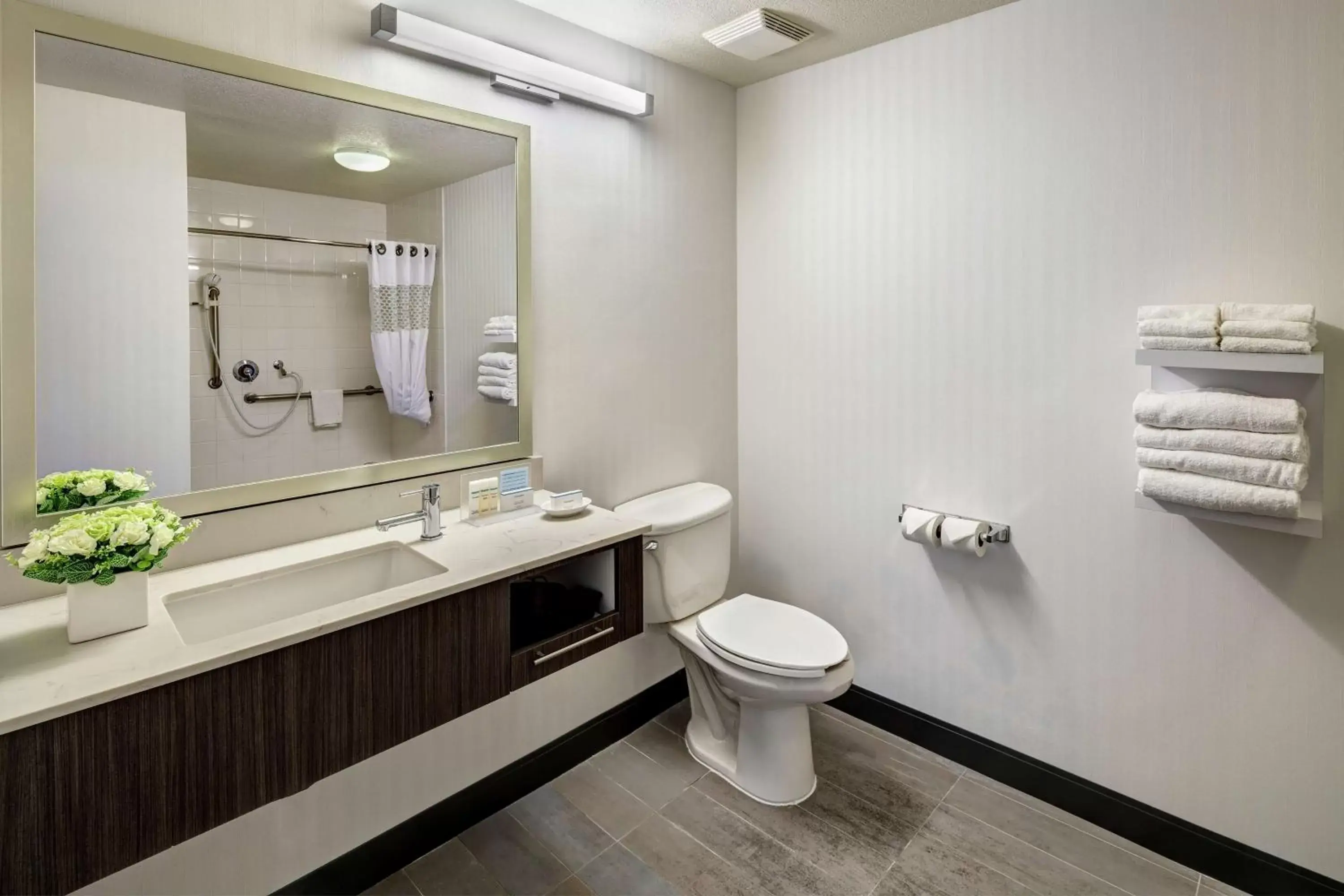Bathroom in Hampton Inn & Suites Palm Desert