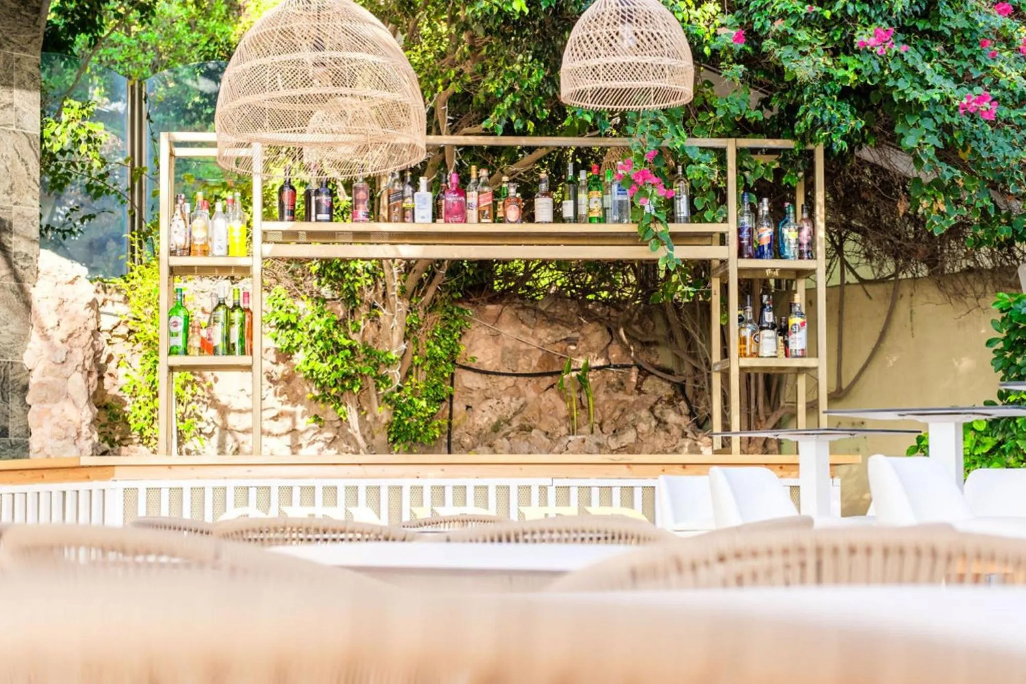 Food and drinks in Hotel Agua Beach "Adults only"