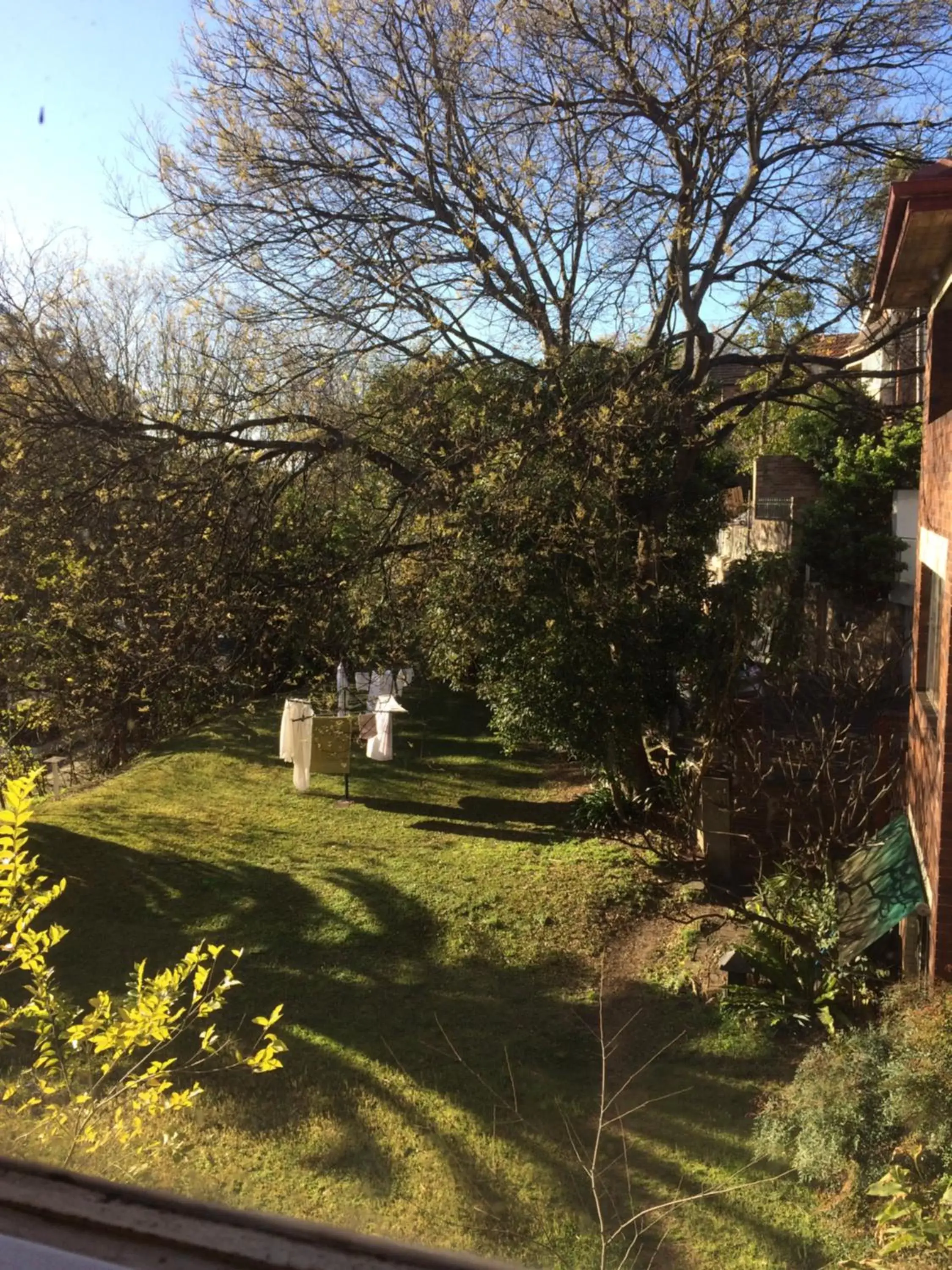 Neighbourhood, Garden in Edgecliff Lodge Motel