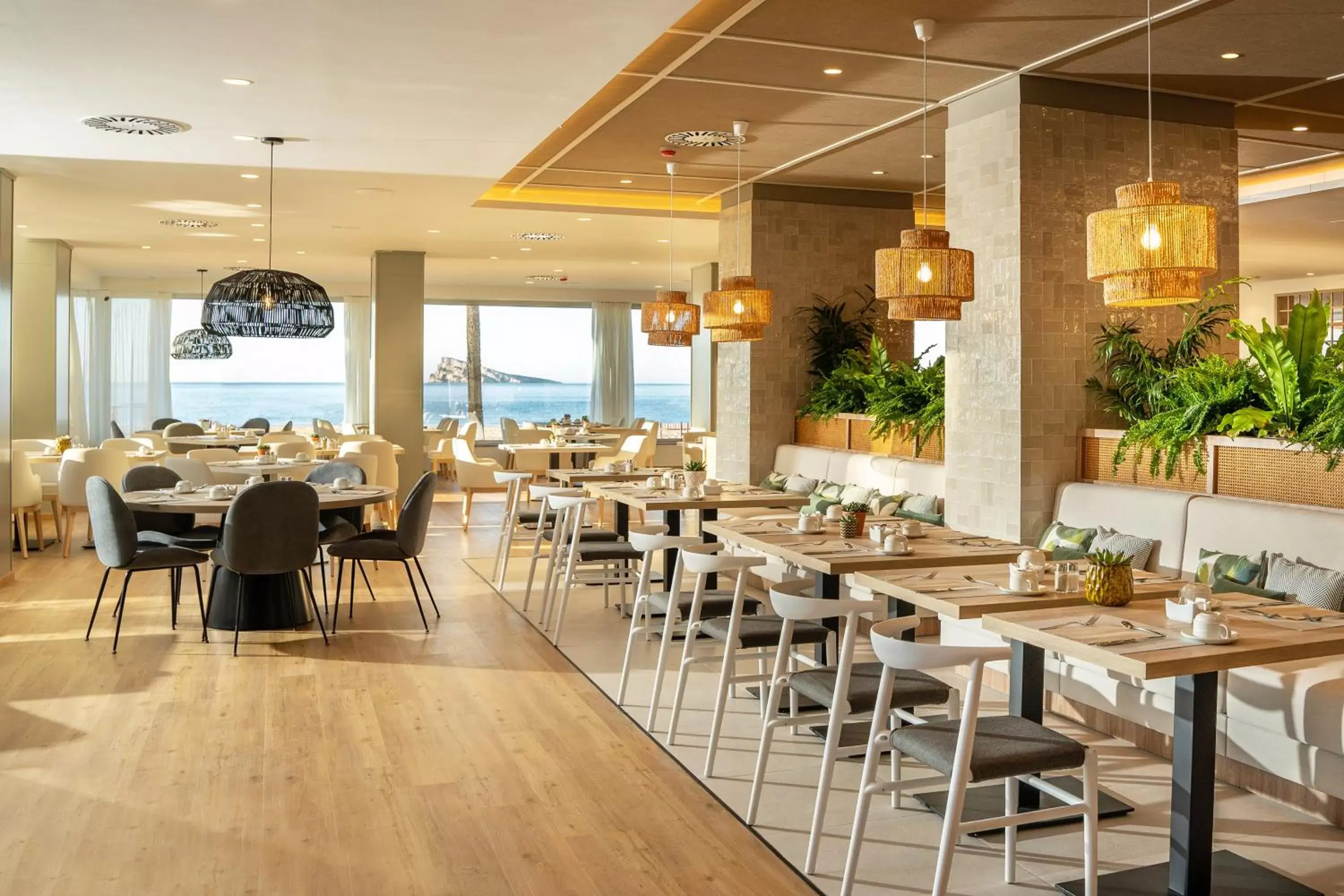 Restaurant/Places to Eat in INNSiDE by Meliá Costablanca - Adults Only from 16