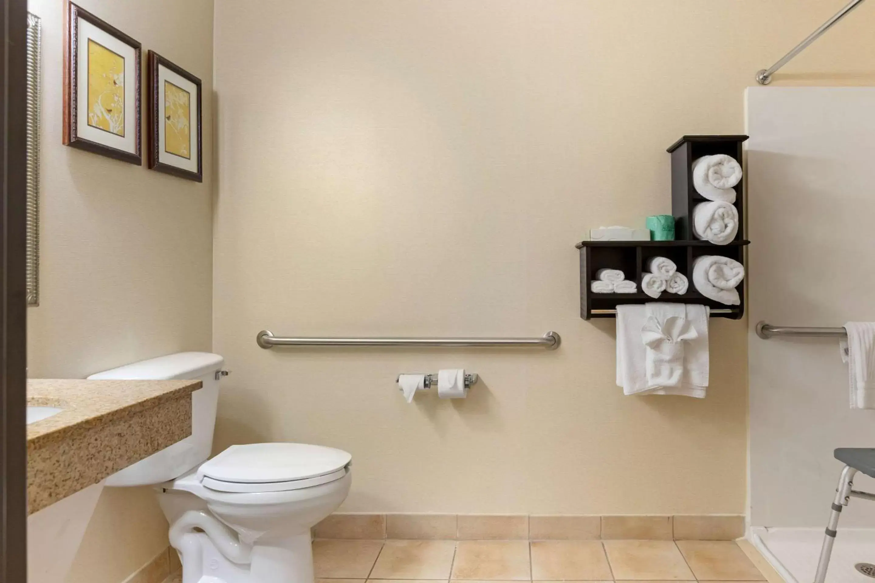 Bathroom in Comfort Suites Southfield