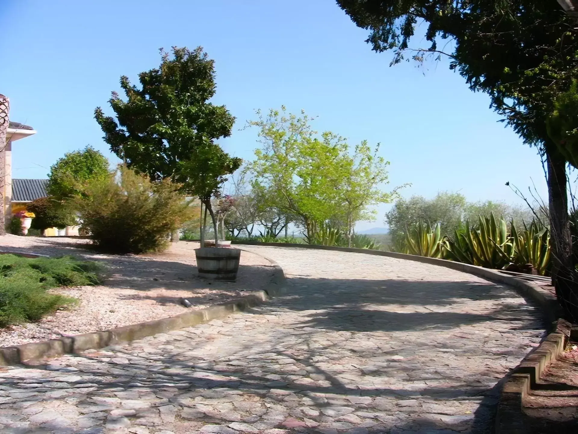 Garden in A Flor da Rosa