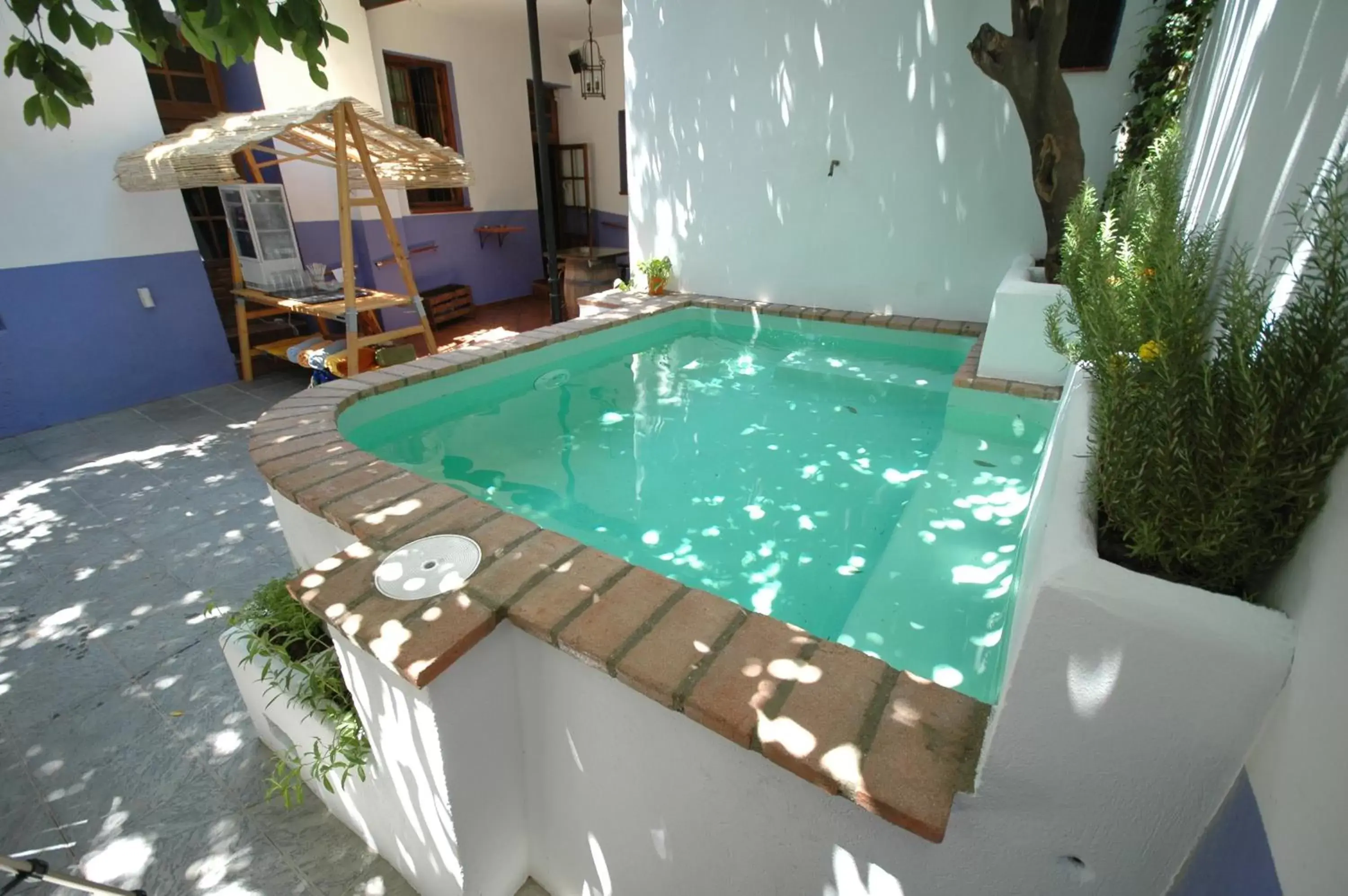 Swimming Pool in Hotel Casa de los Azulejos
