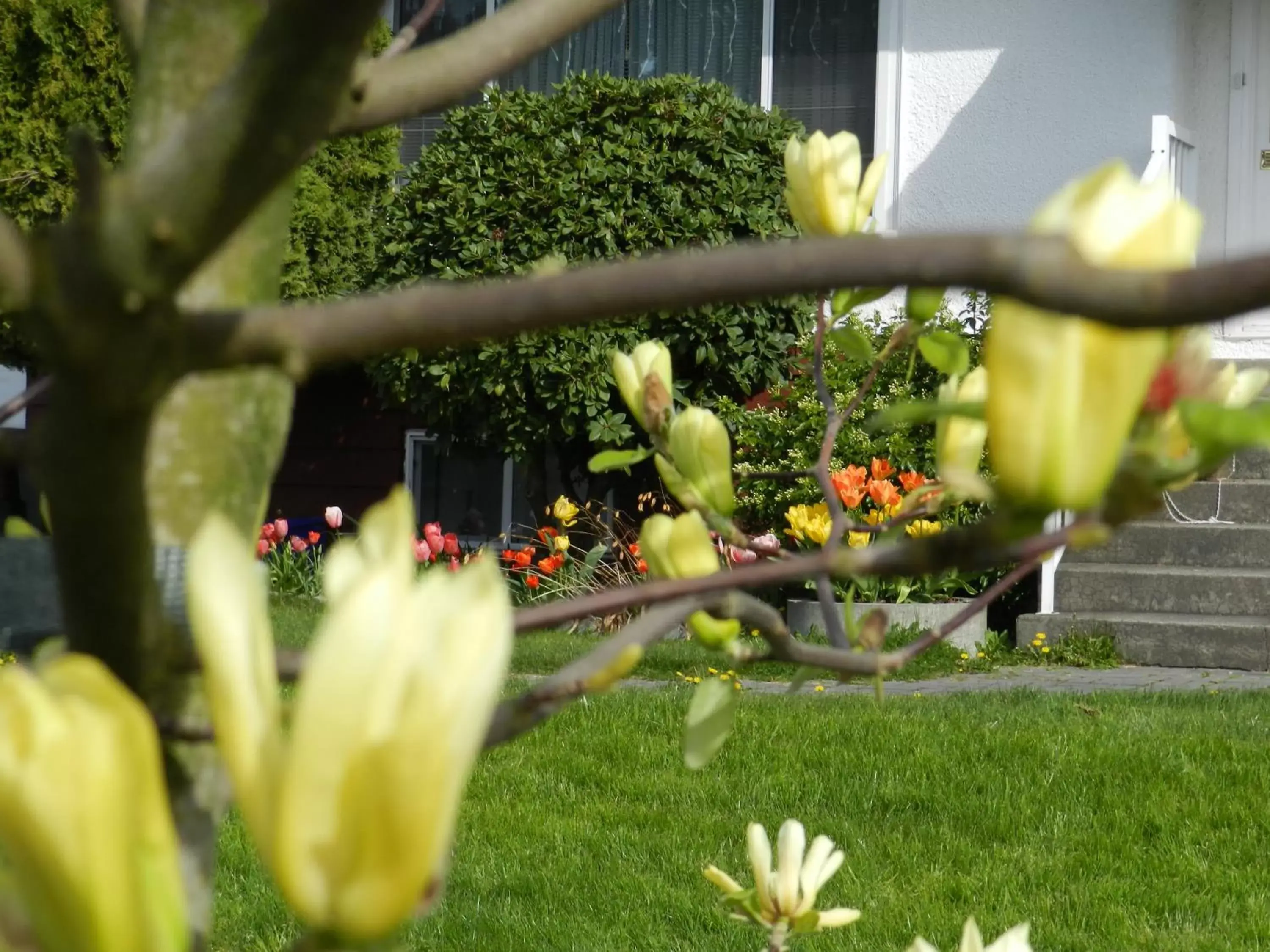 Street view, Garden in Serenity