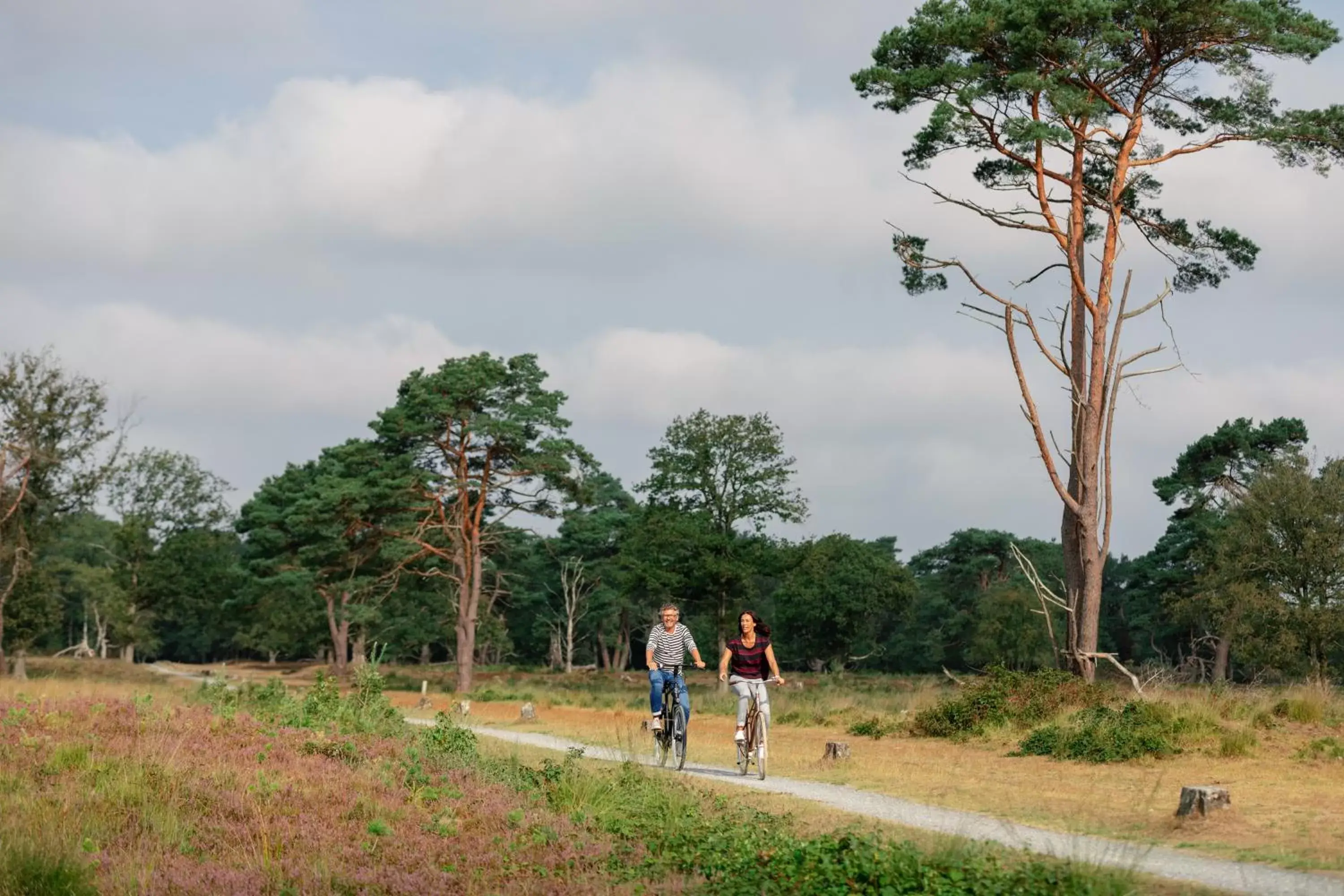 Natural landscape in Hotel De Oringer Marke & Stee by Flow