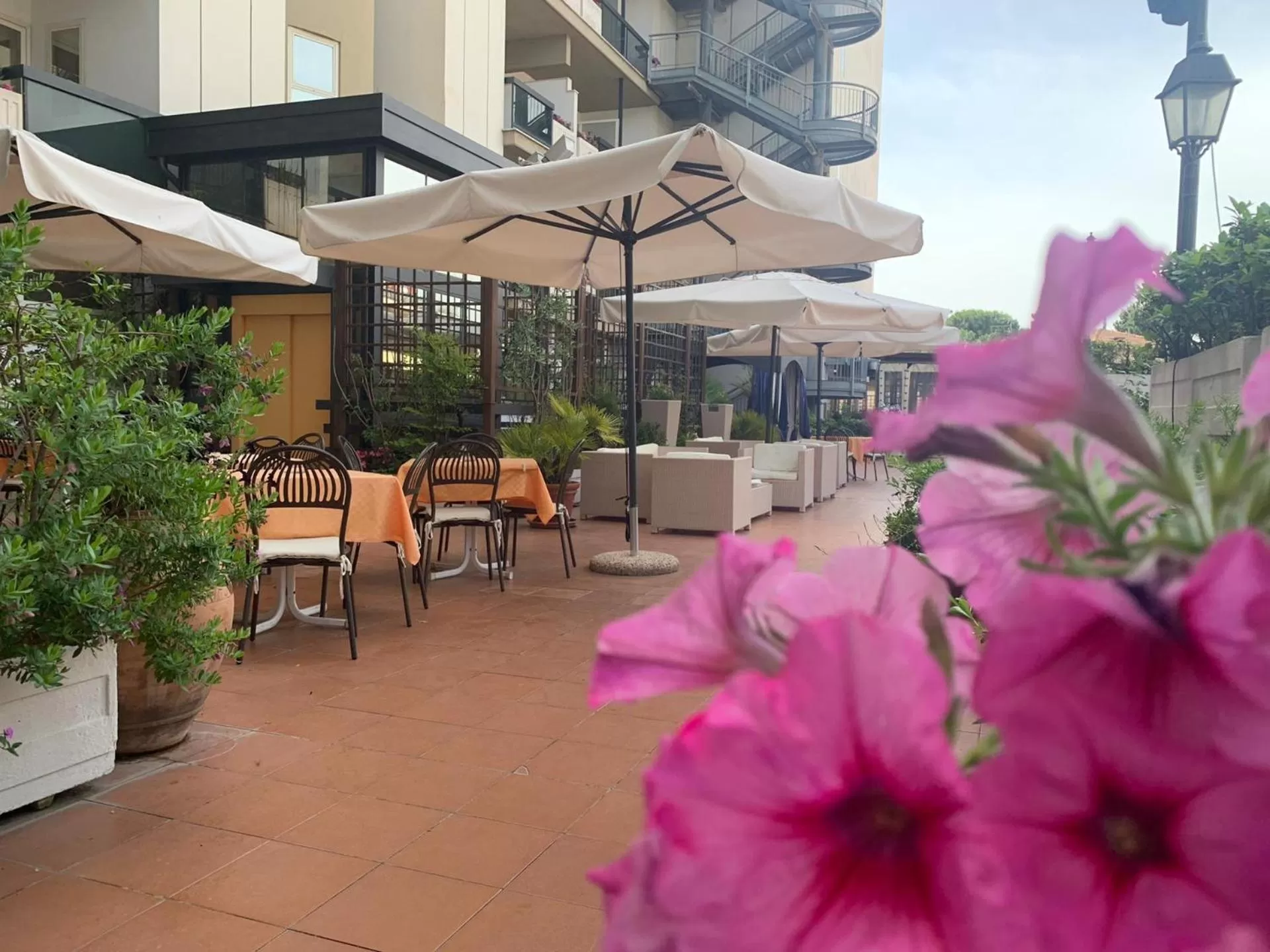 Restaurant/places to eat in Hotel Pineta Palace