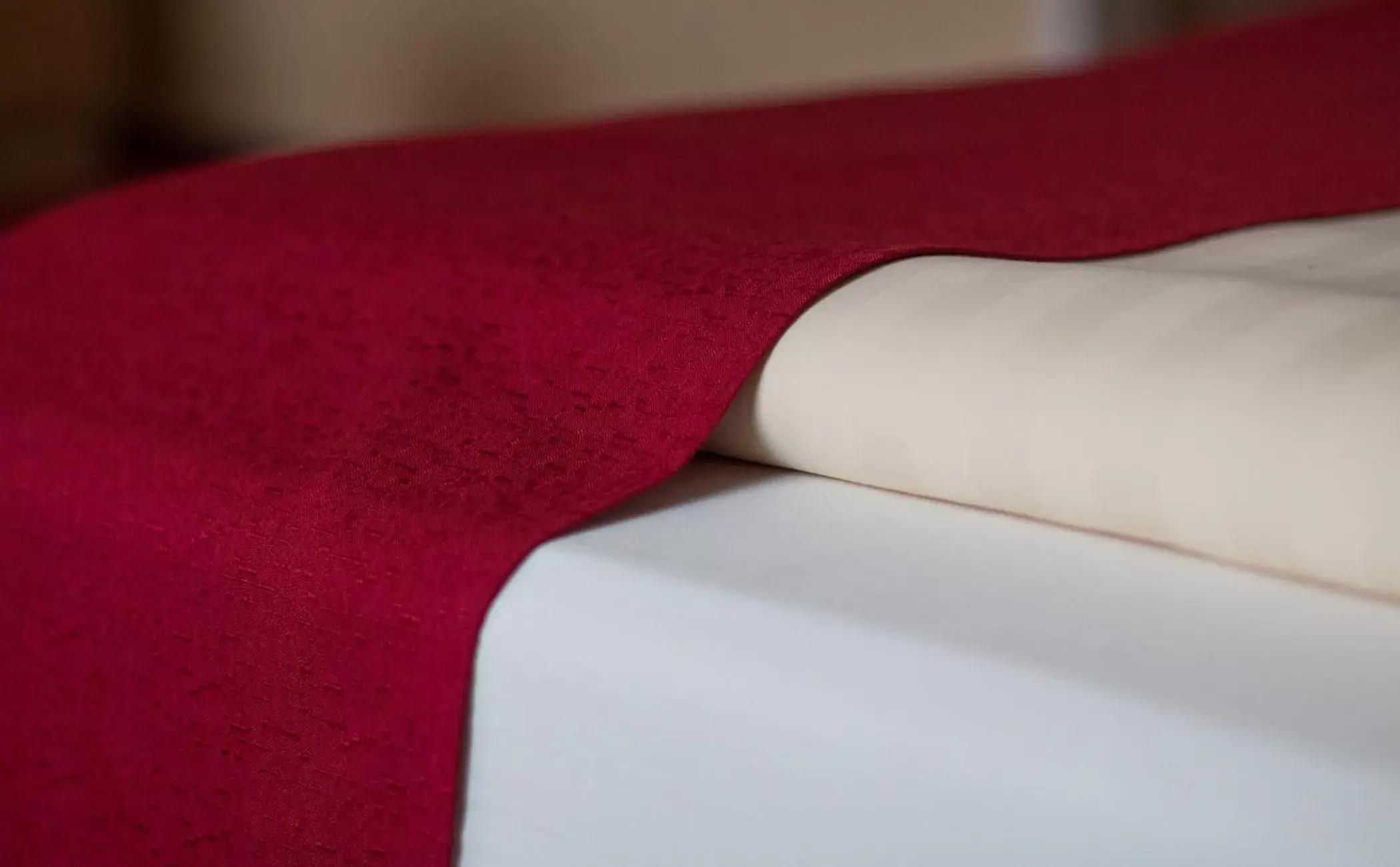 Single Room in Hotel Acht Linden Single Room in Hotel Acht Linden