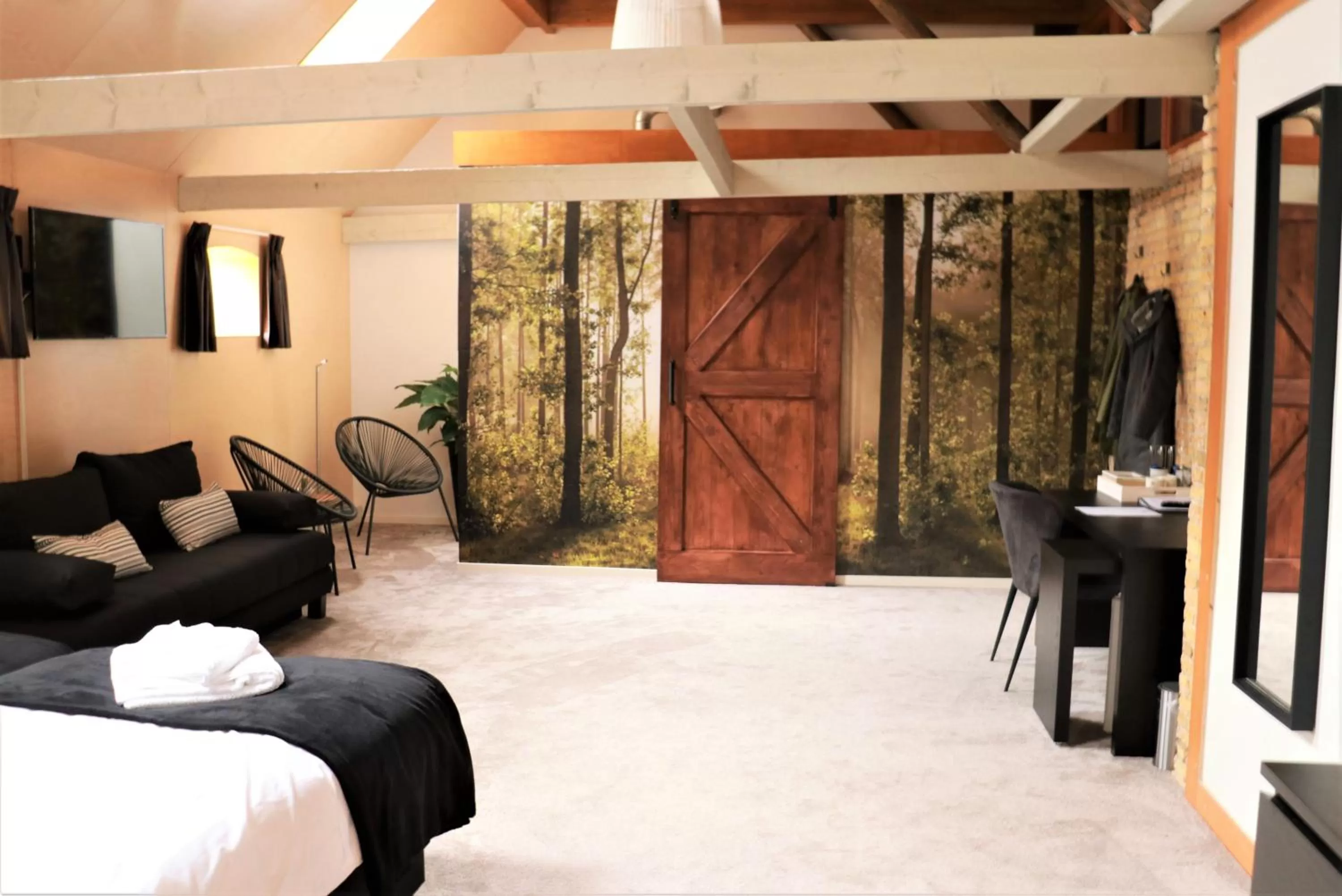 TV and multimedia, Bed in Harlingen Staete B&B Boutique hotel