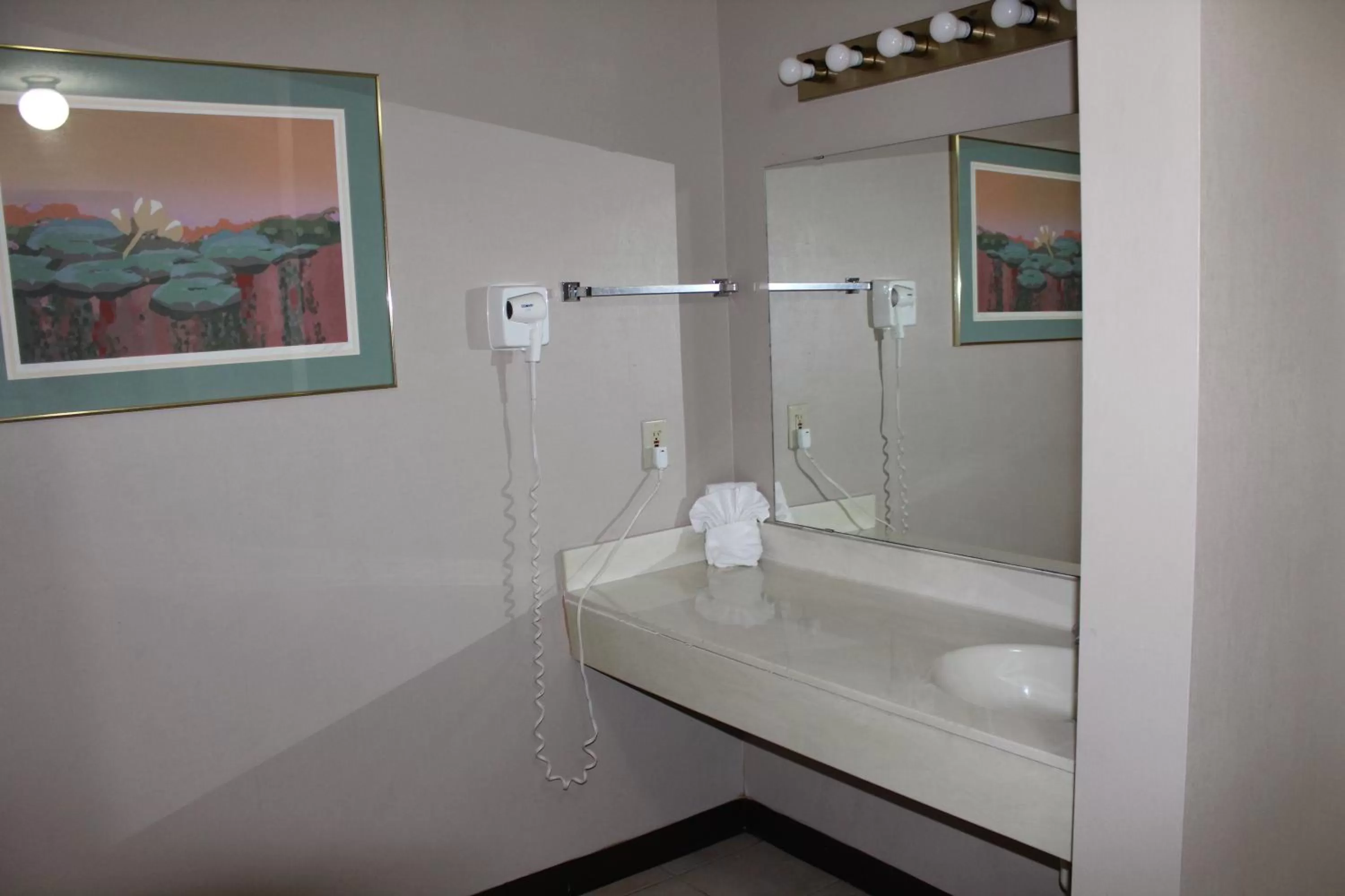 Bathroom in Coratel Inn and Suites Maple Grove