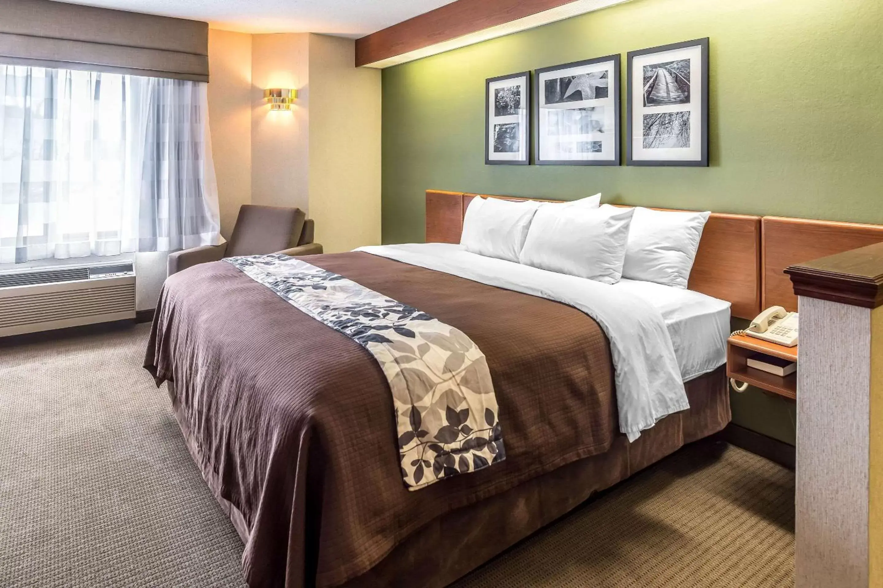 Photo of the whole room, Bed in Sleep Inn & Suites Acme – Traverse City