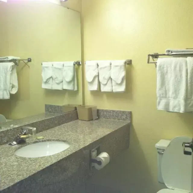 Bathroom in Super 8 by Wyndham Piedmont Greenville Area