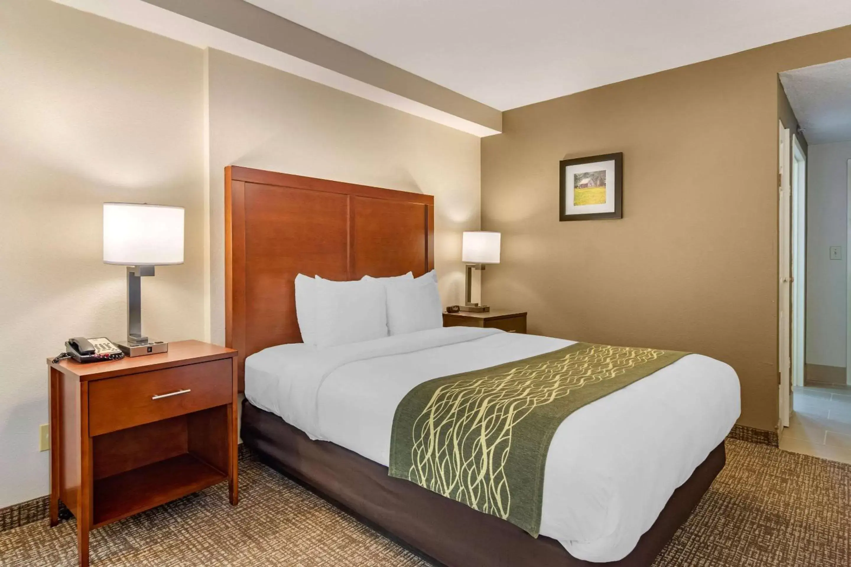 Photo of the whole room, Bed in Comfort Inn Douglasville - Atlanta West