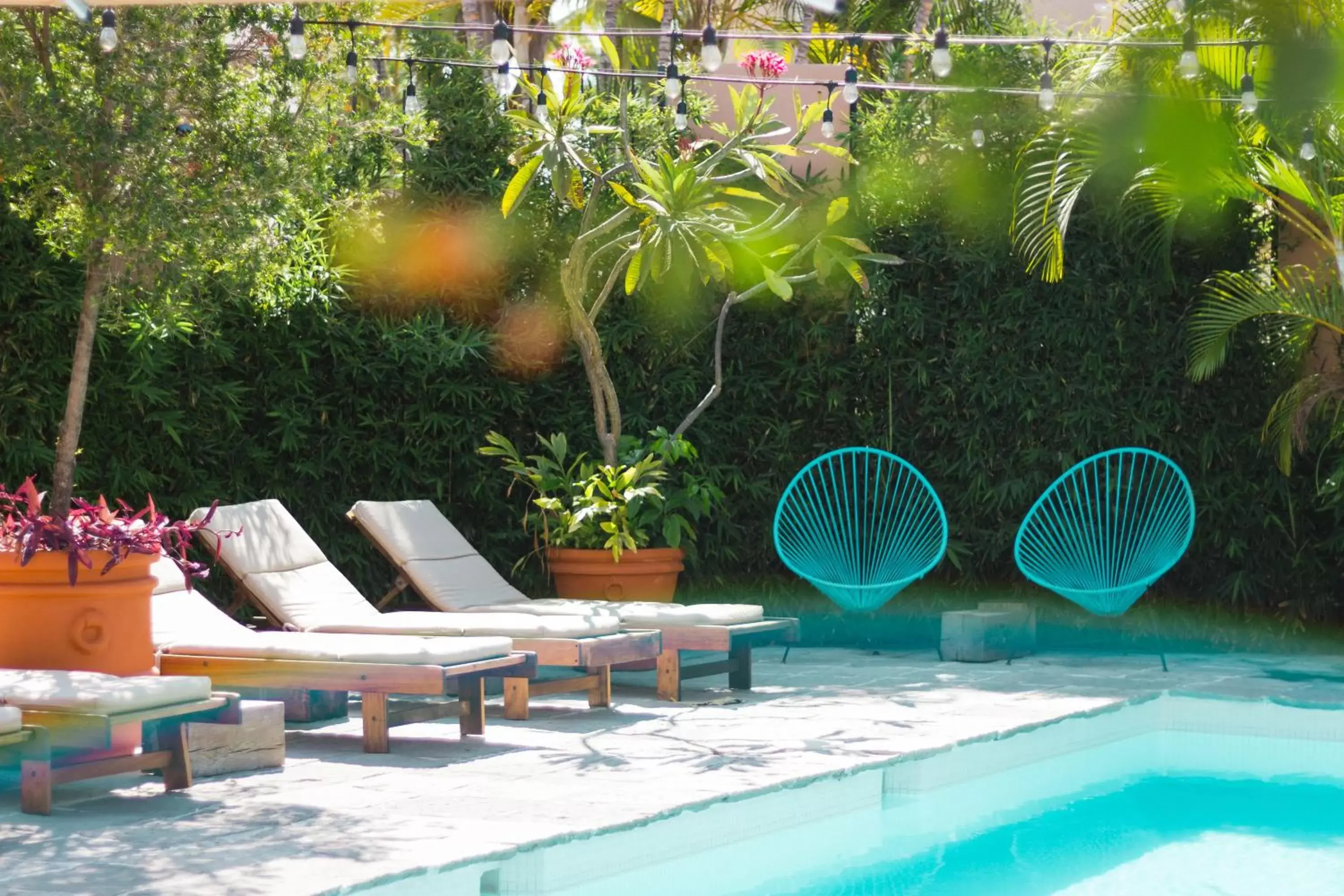 Swimming Pool in San Trópico Boutique Hotel & Peaceful Escape