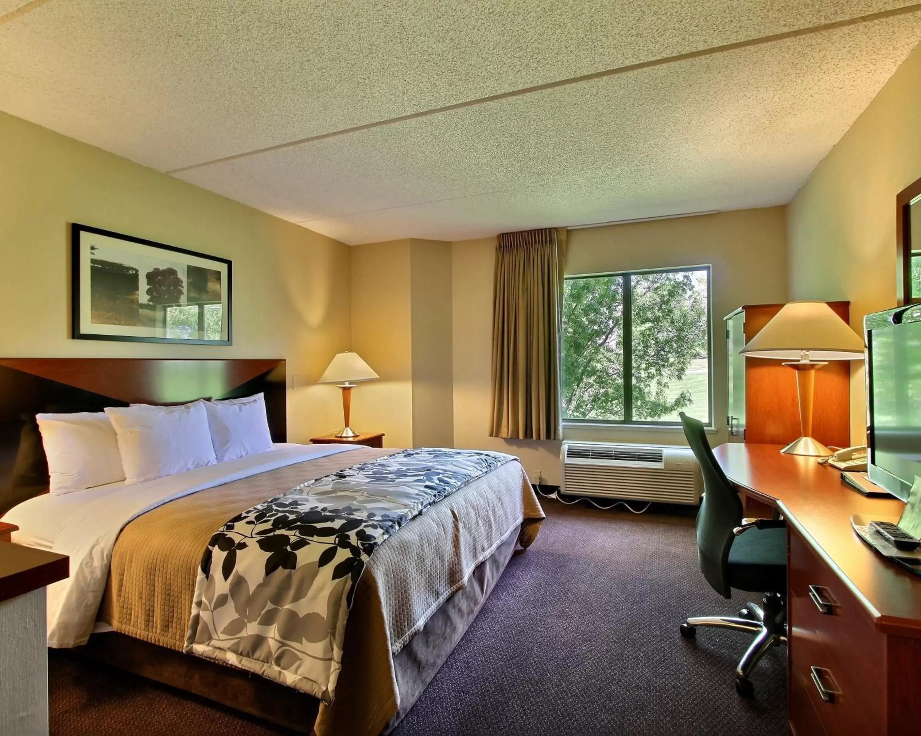 King Room - Non-Smoking in Sleep Inn & Suites Mountville