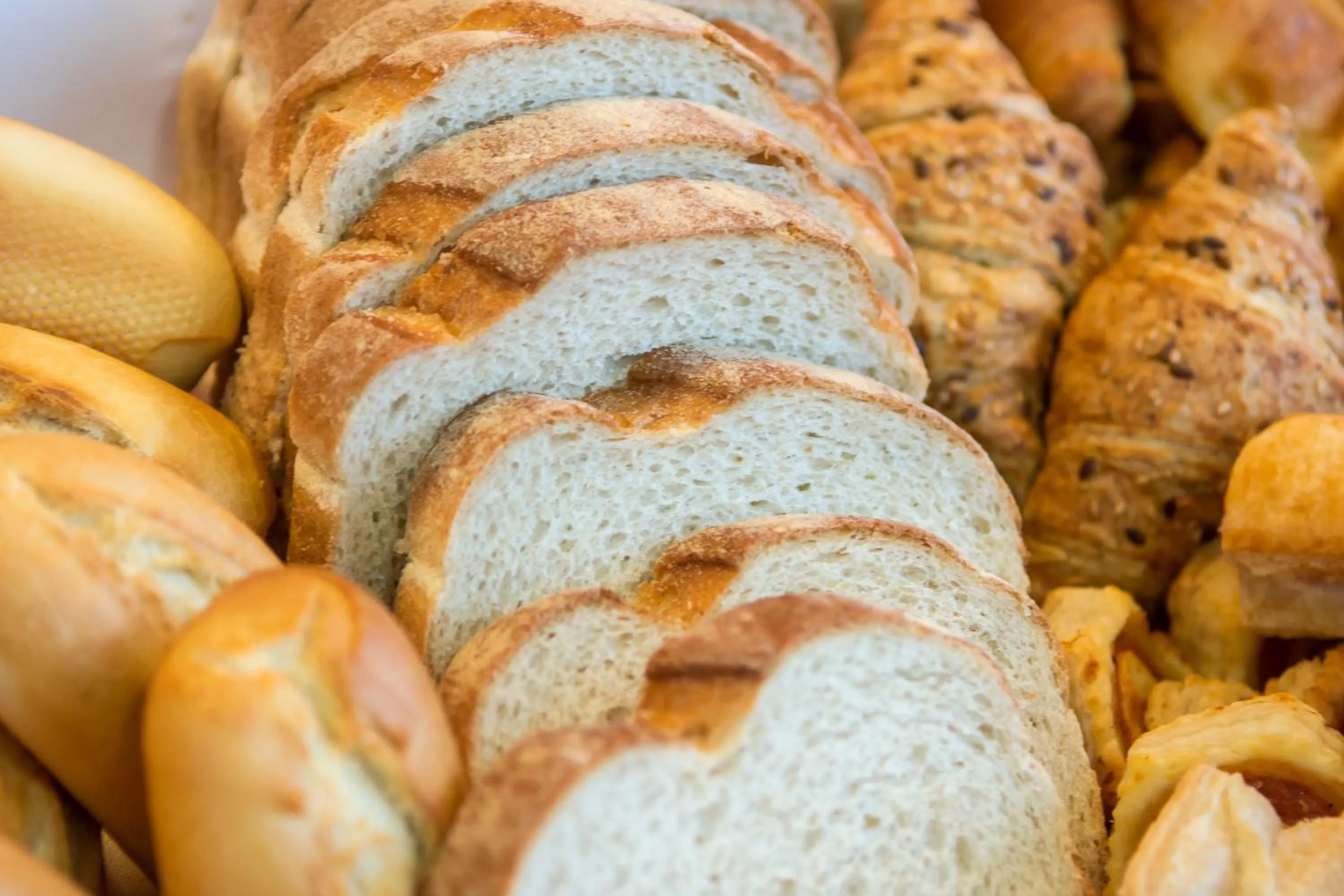 Food close-up in Hotel Concorde