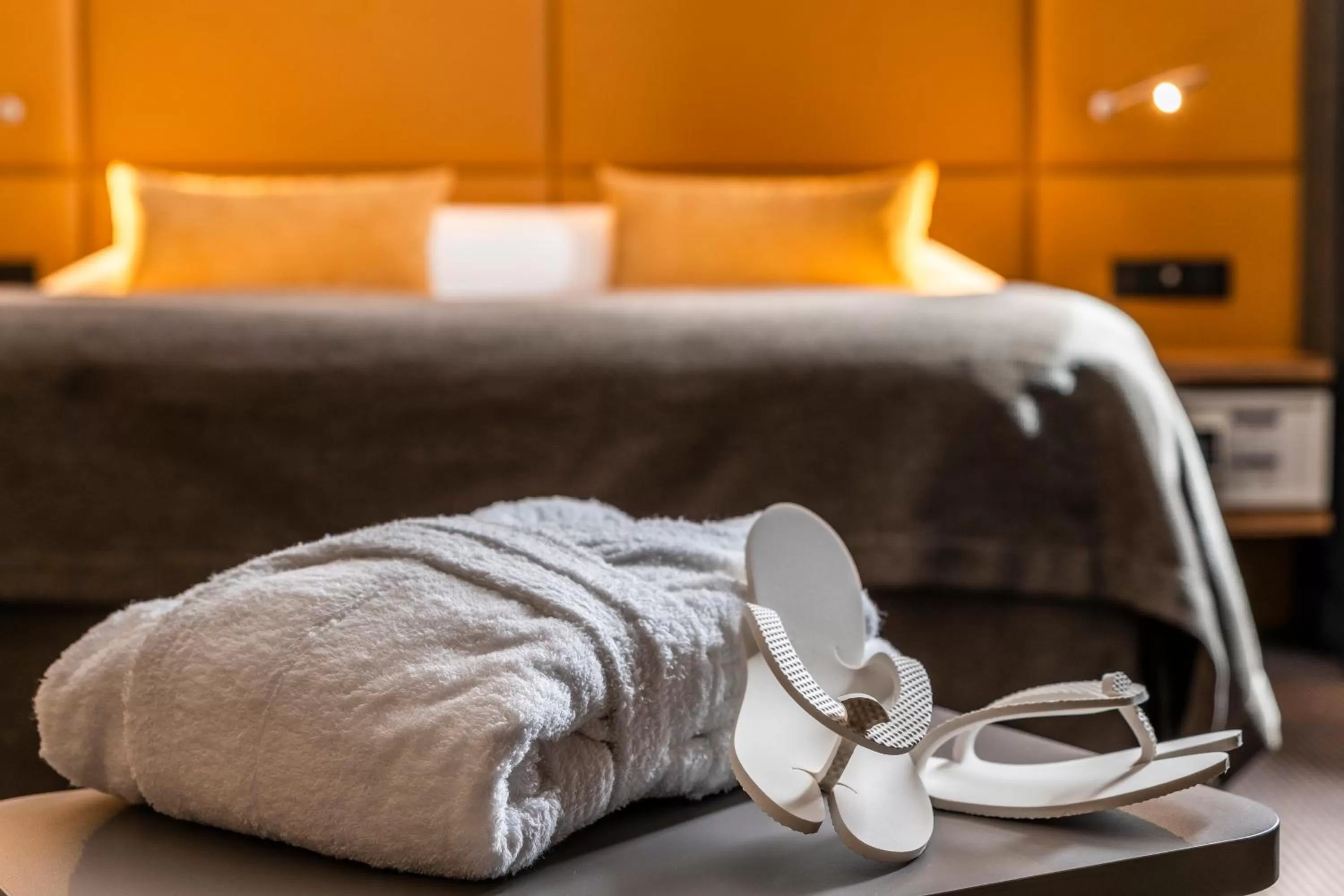 Area and facilities, Bed in Hotel Residence Europe & Spa