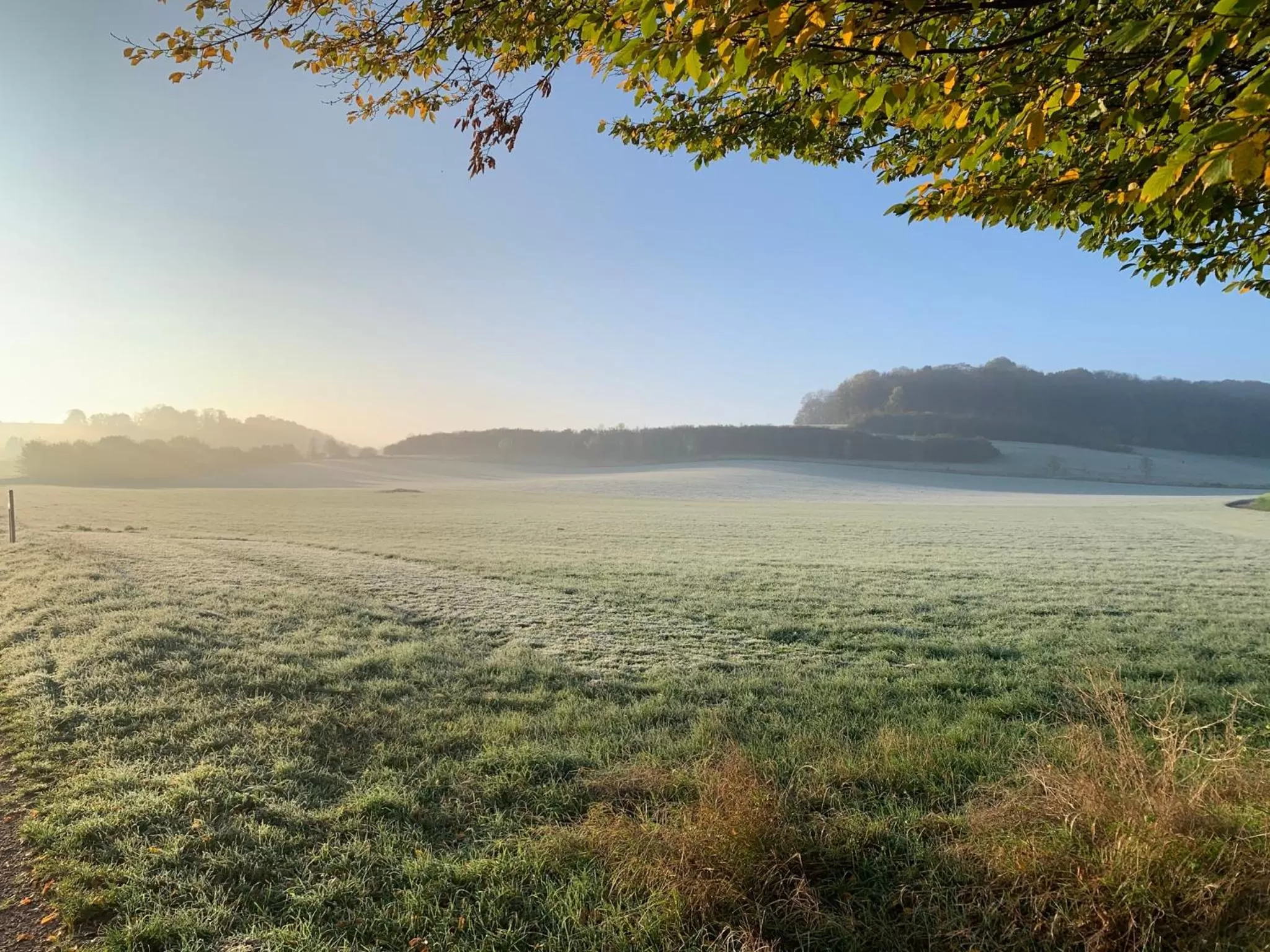 Natural landscape in Hotel Atlanta