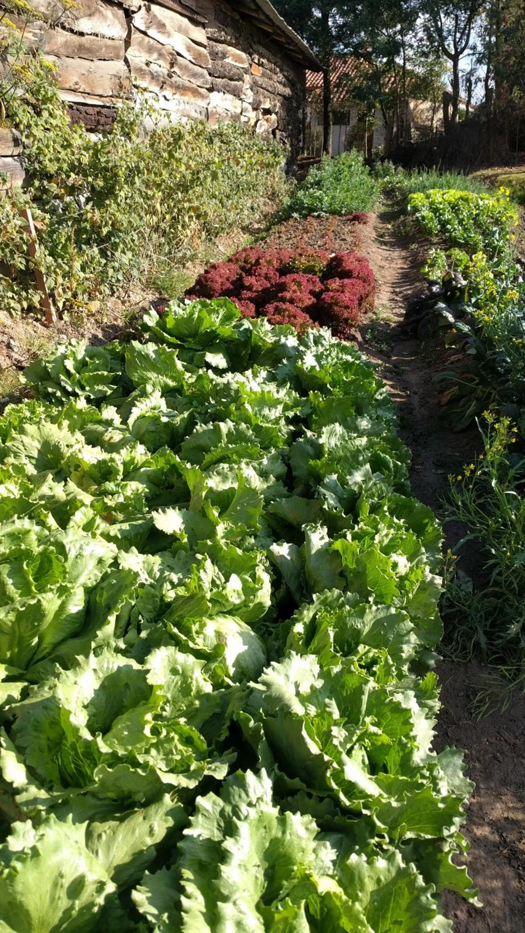 Activities in Posada Cafe La Huerta