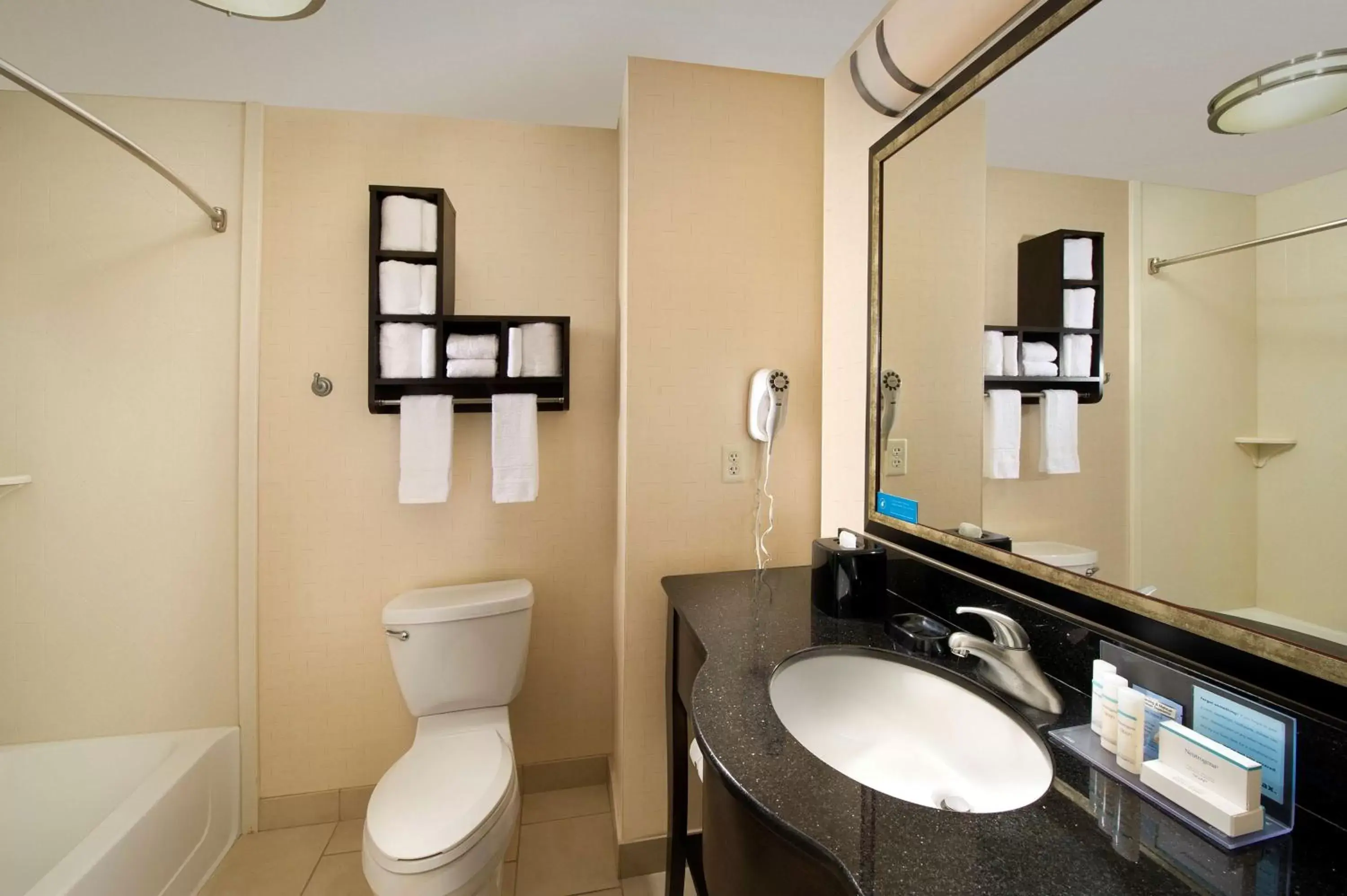 Bathroom in Hampton Inn & Suites Chicago Southland-Matteson