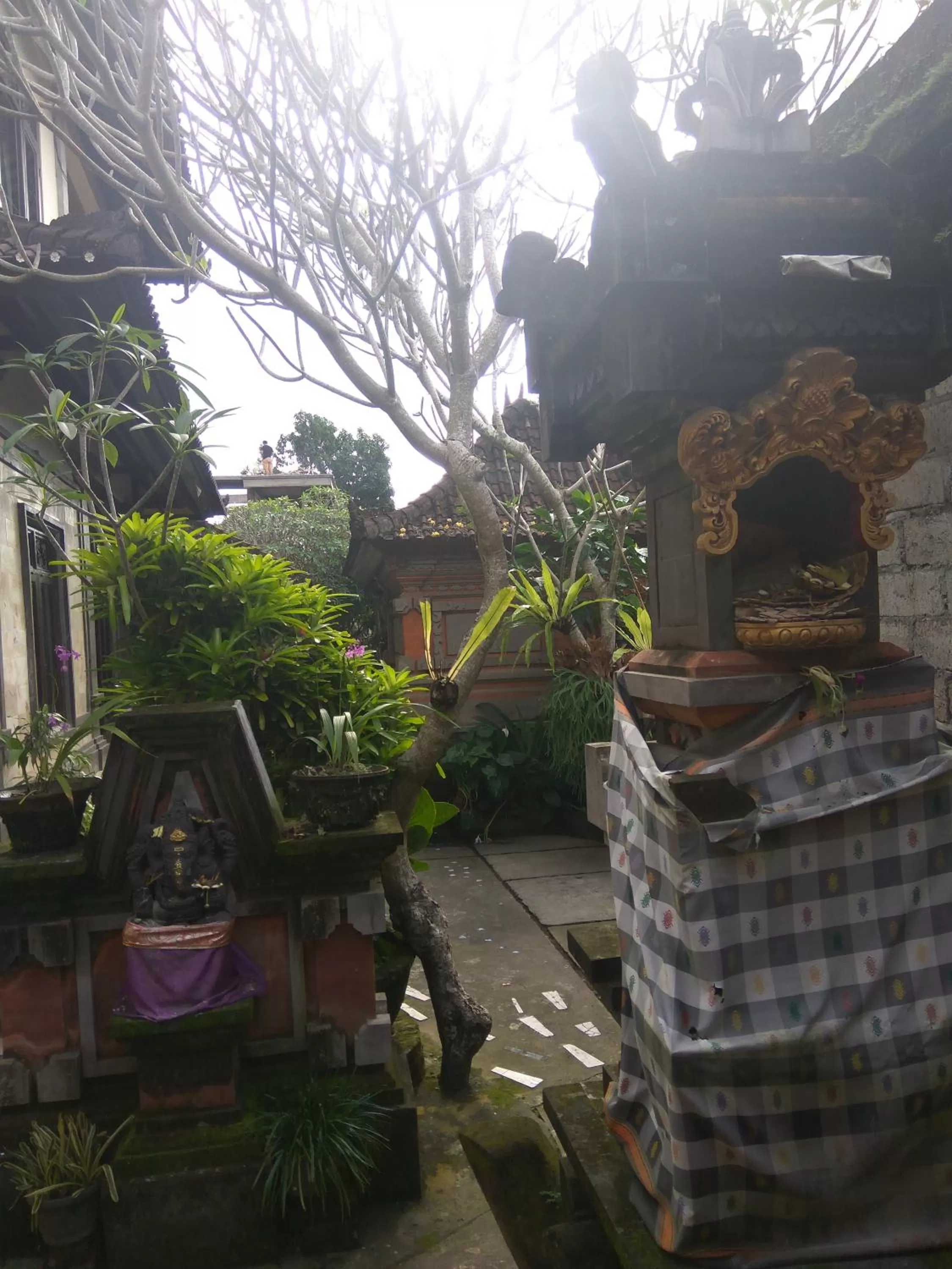 Property building in The Hidden Bali Inn