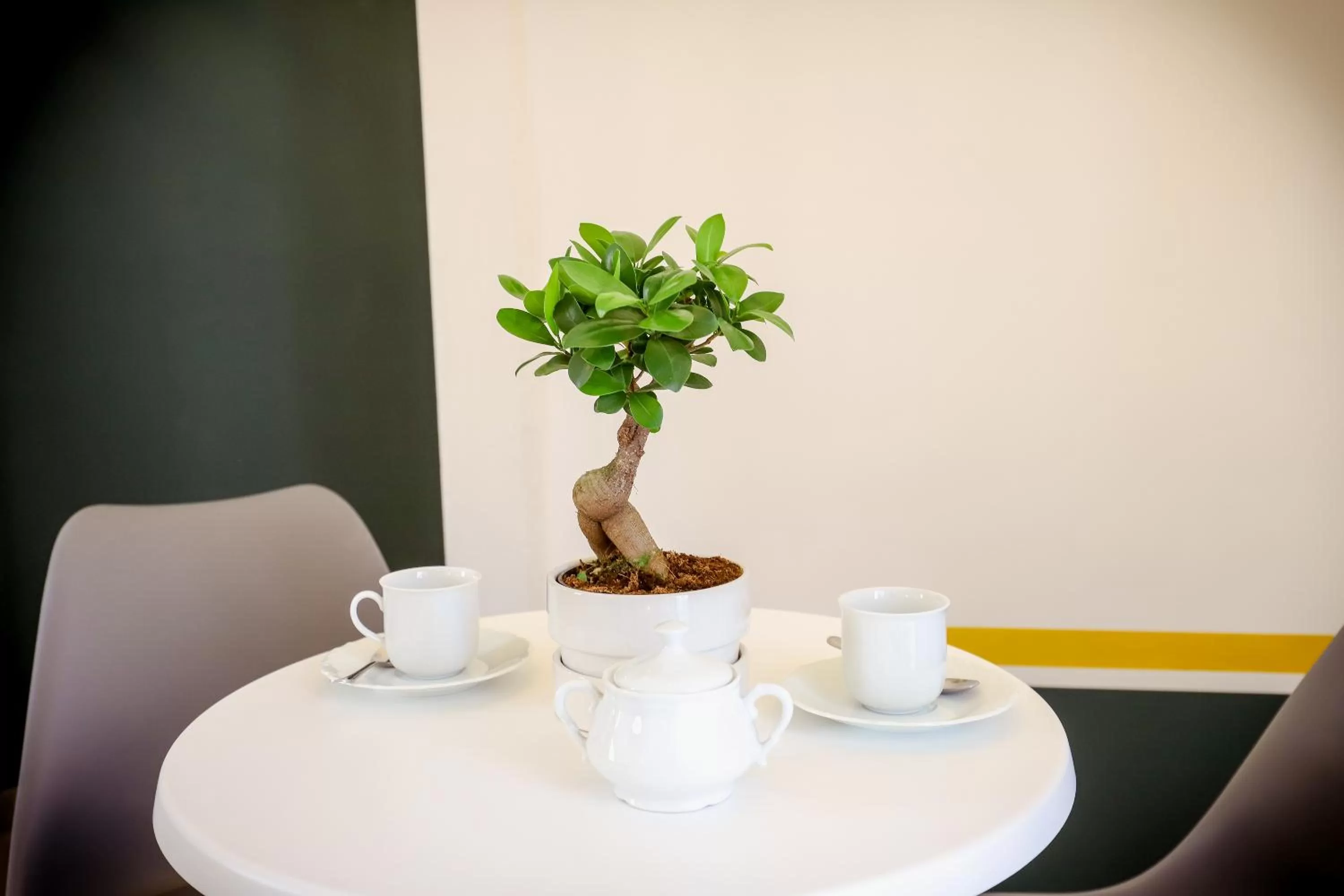 Drinks in A I R Sant'Anna