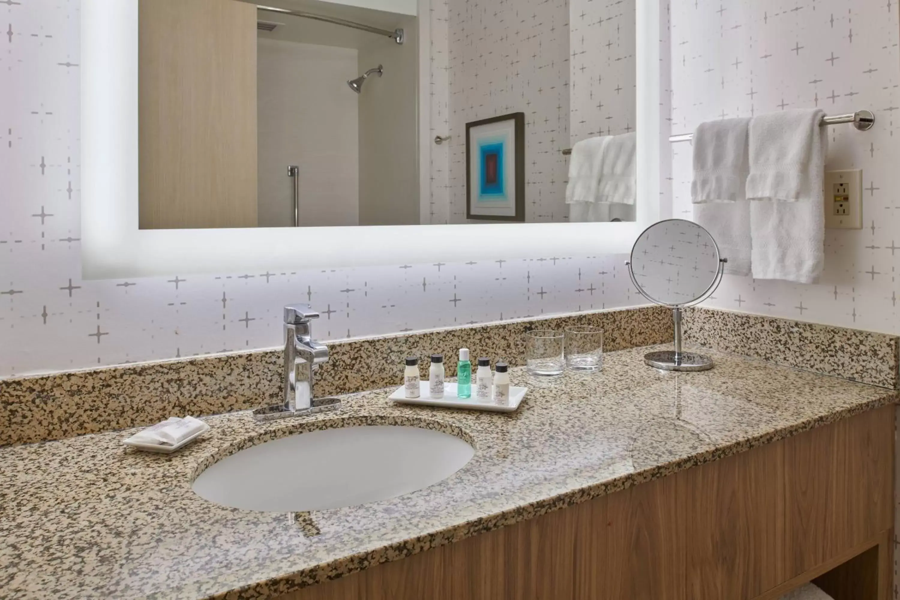 Bathroom in Delta Hotels by Marriott Detroit Novi