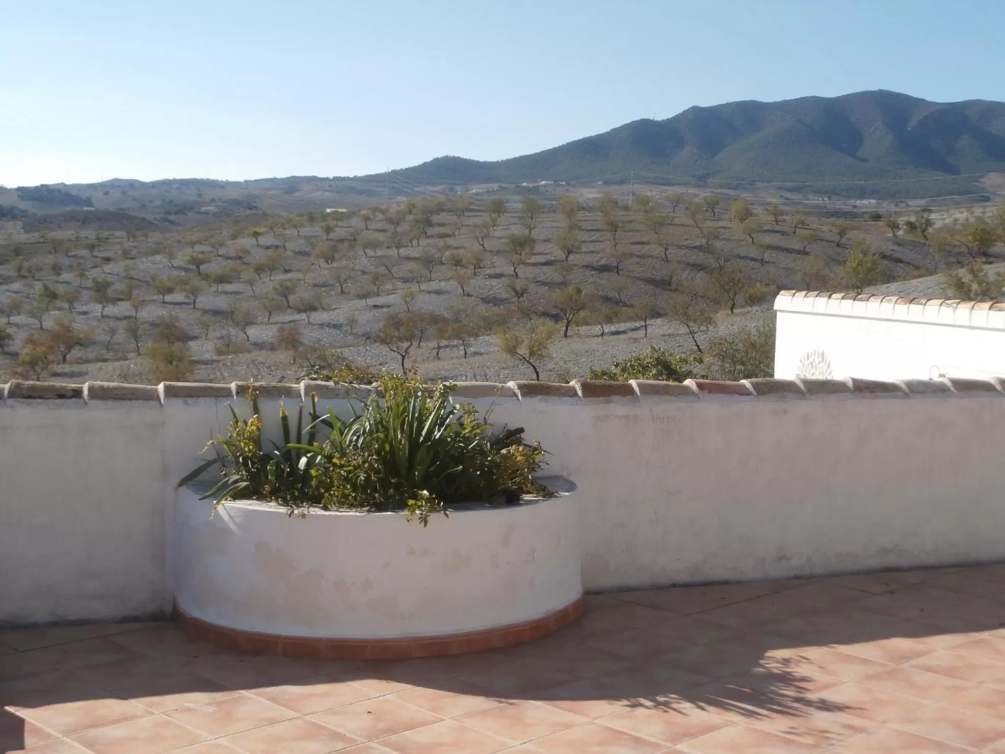 Natural landscape in Las Persianas Azules