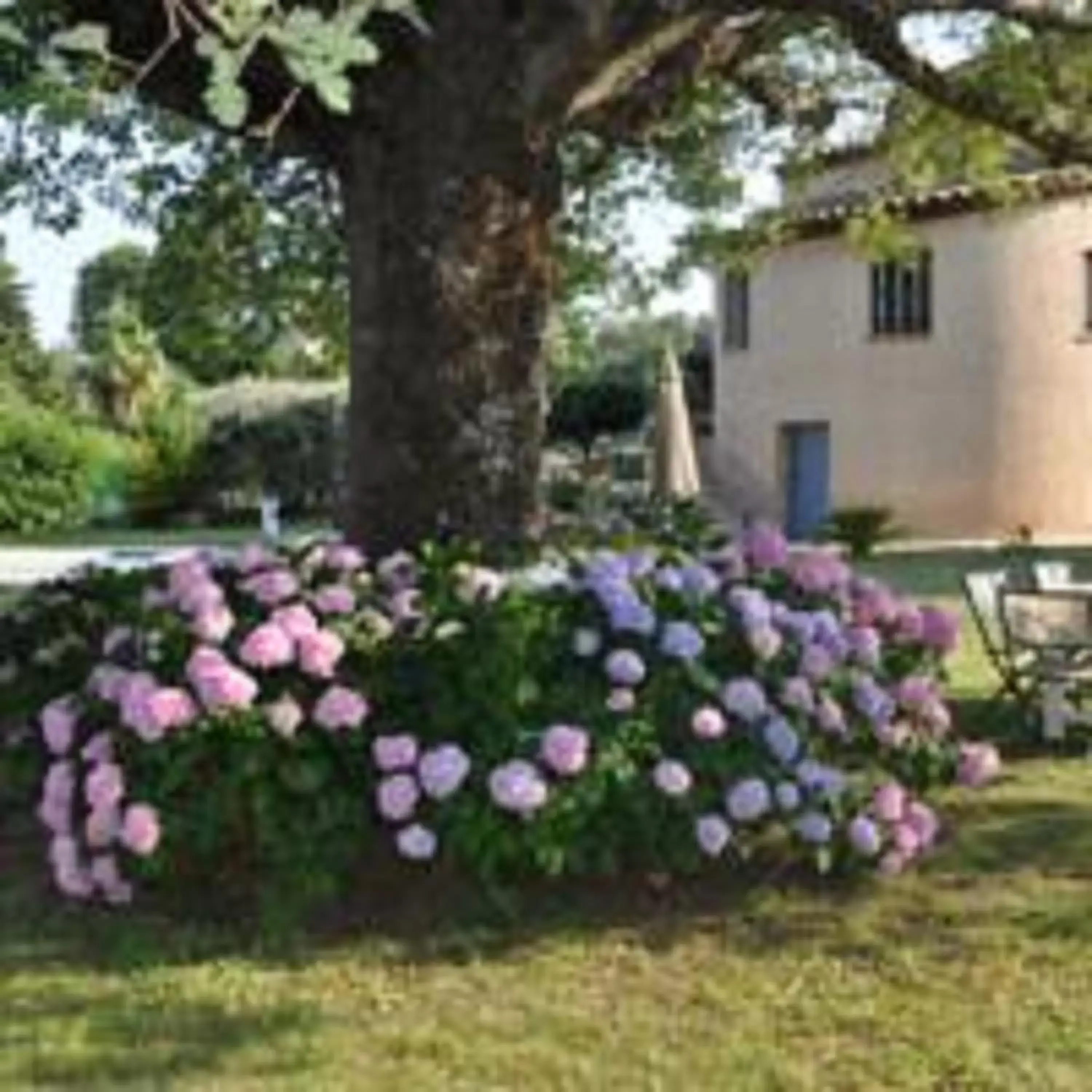 Garden, Banquet Facilities in la bagna gauda