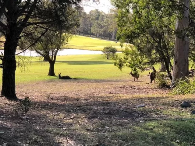 Garden view in Golf View Motel