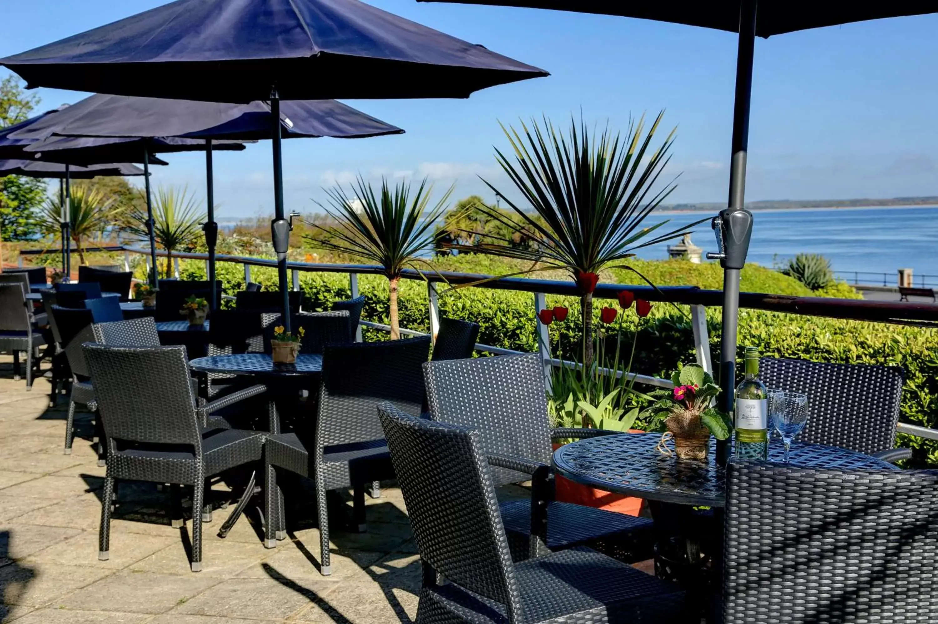 Restaurant/places to eat in BEST WESTERN New Holmwood Hotel Restaurant/places to eat in BEST WESTERN New Holmwood Hotel