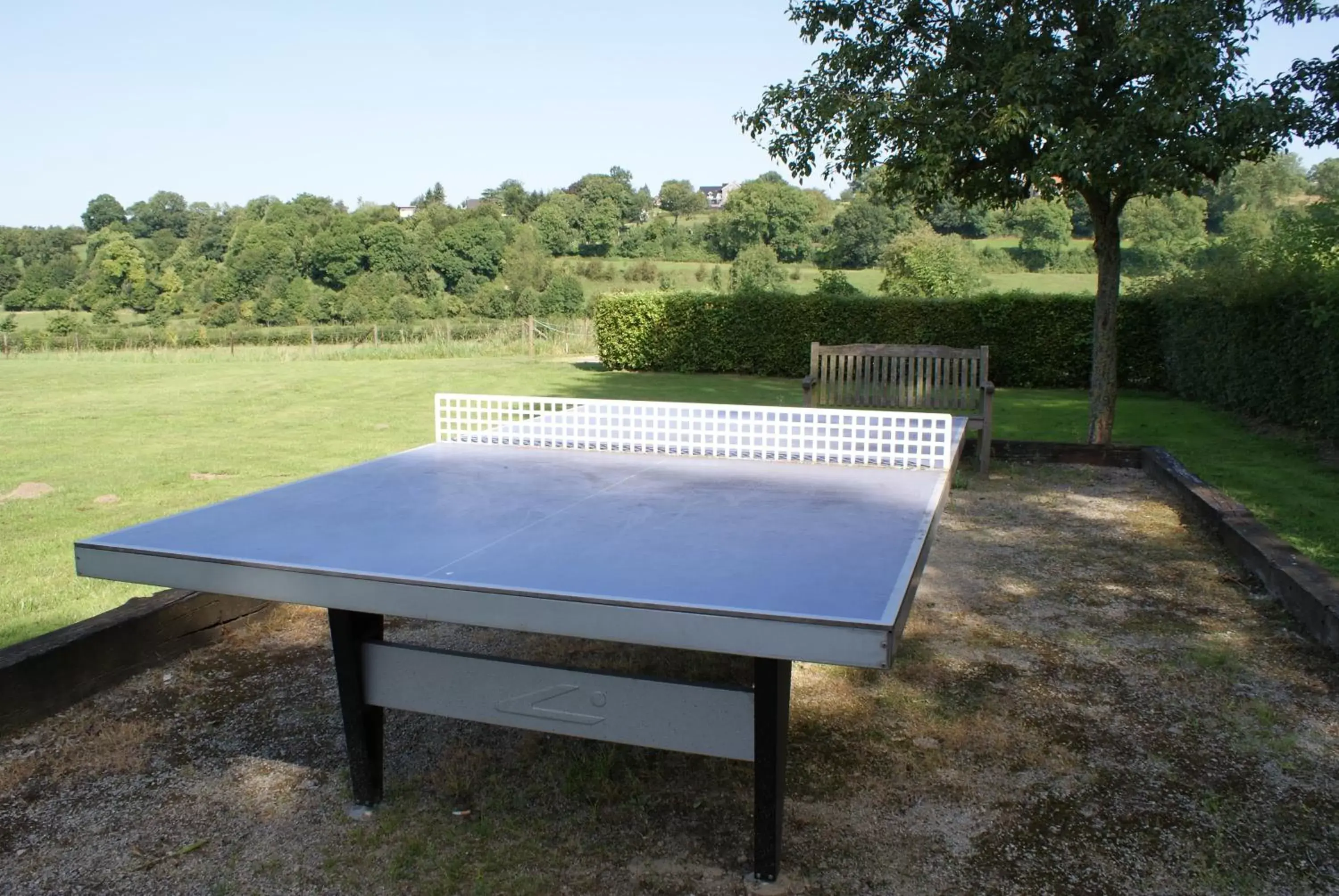 Table Tennis in Fletcher Hotel Restaurant Bon Repos