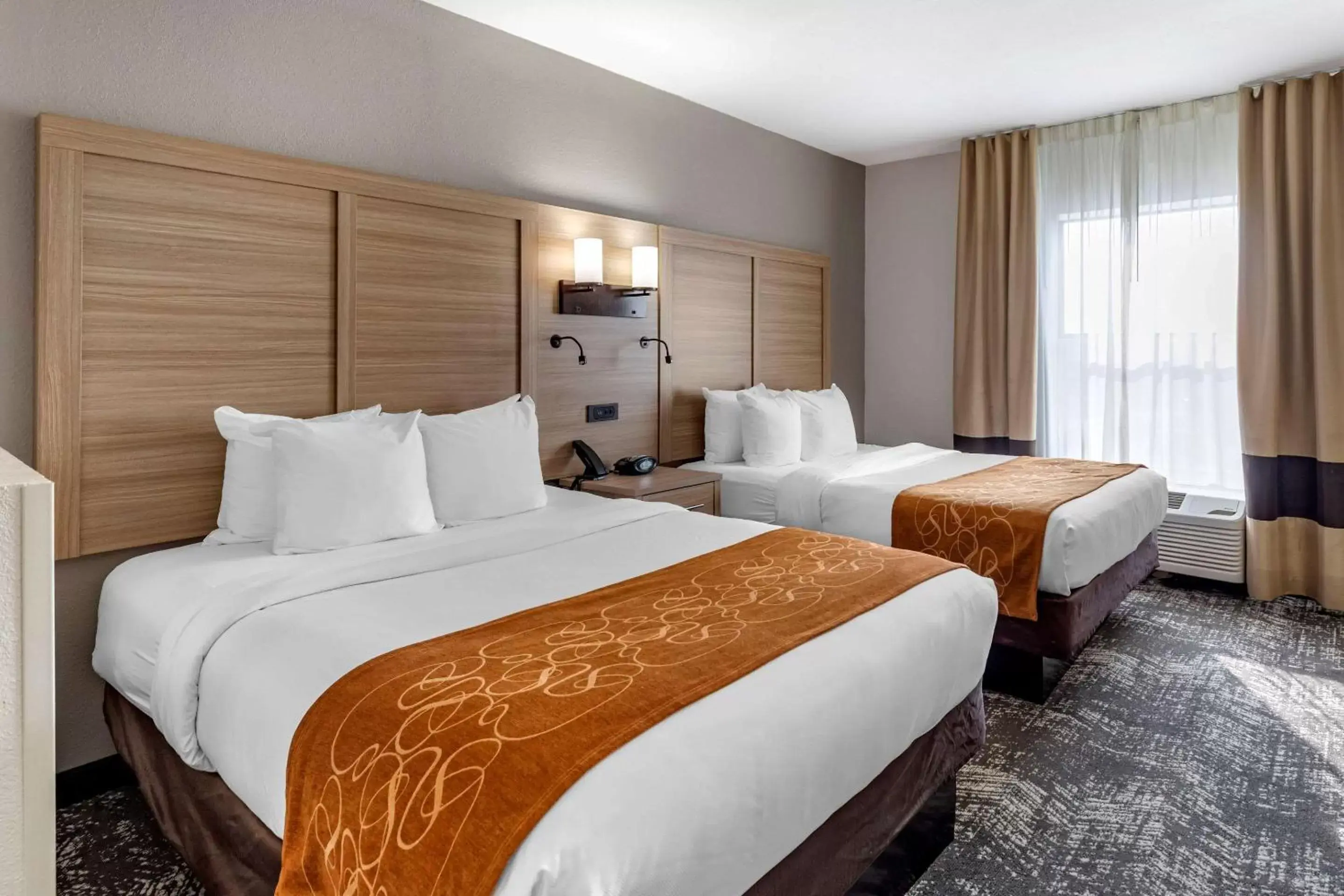 Photo of the whole room, Bed in Comfort Suites Anderson-Clemson Photo of the whole room, Bed in Comfort Suites Anderson-Clemson