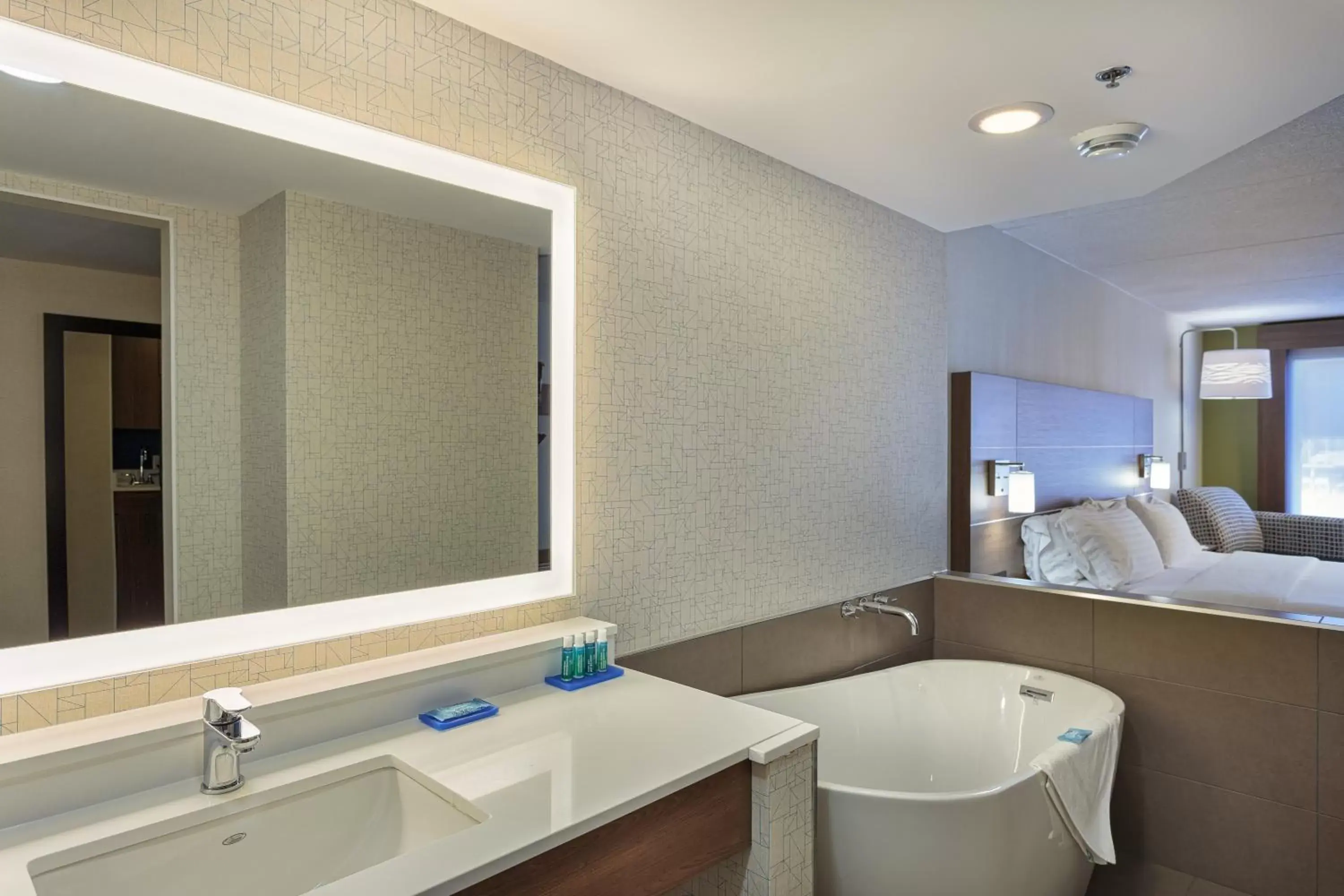 Photo of the whole room, Bathroom in Holiday Inn Express & Suites - Belleville, an IHG Hotel