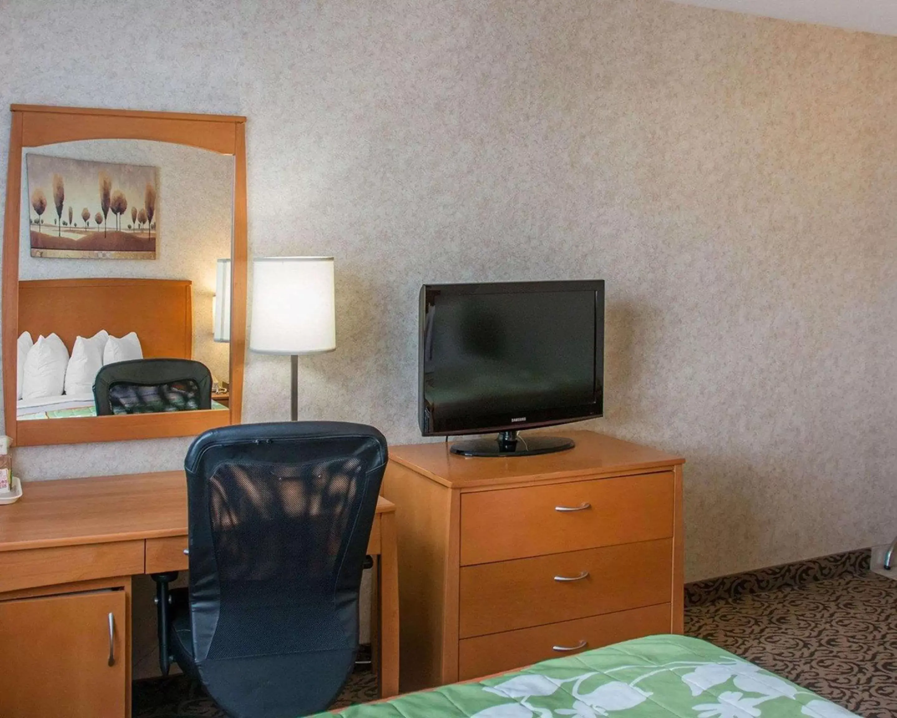 Photo of the whole room, TV/Entertainment Center in Quality Inn & Suites Winnipeg