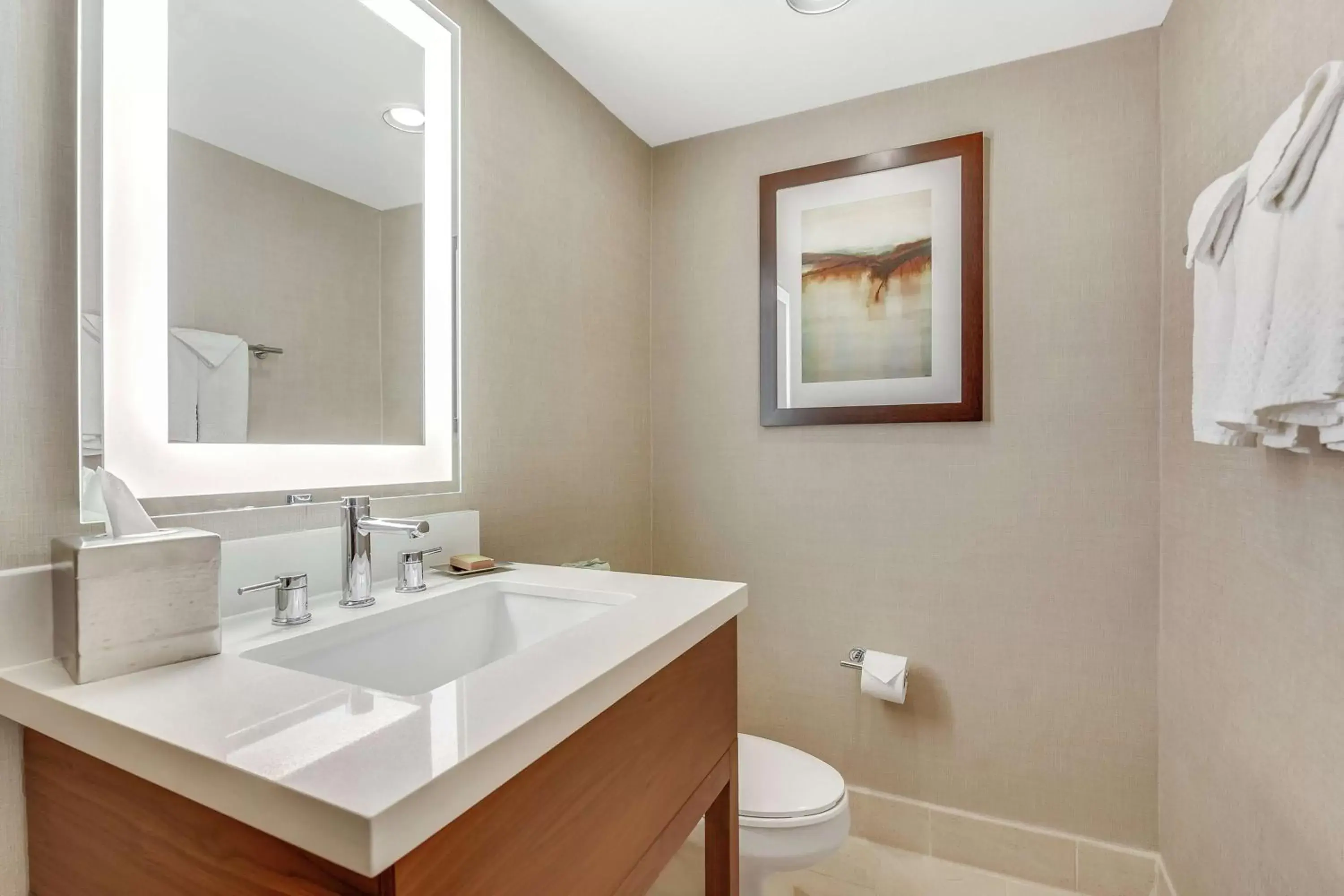 Bathroom in Hilton Phoenix Tapatio Cliffs Resort