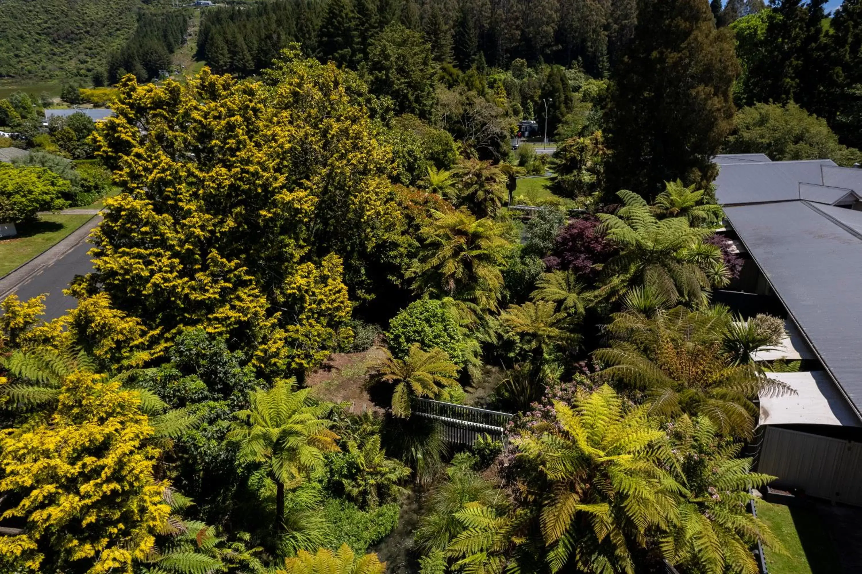 Garden view in Best Western Braeside Rotorua