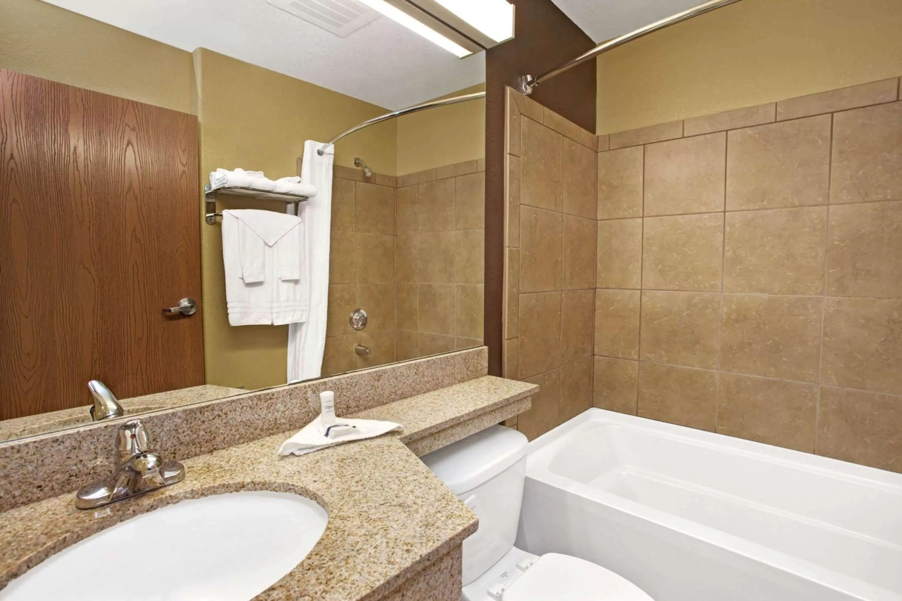 Bathroom in Microtel Inn & Suites - Cartersville