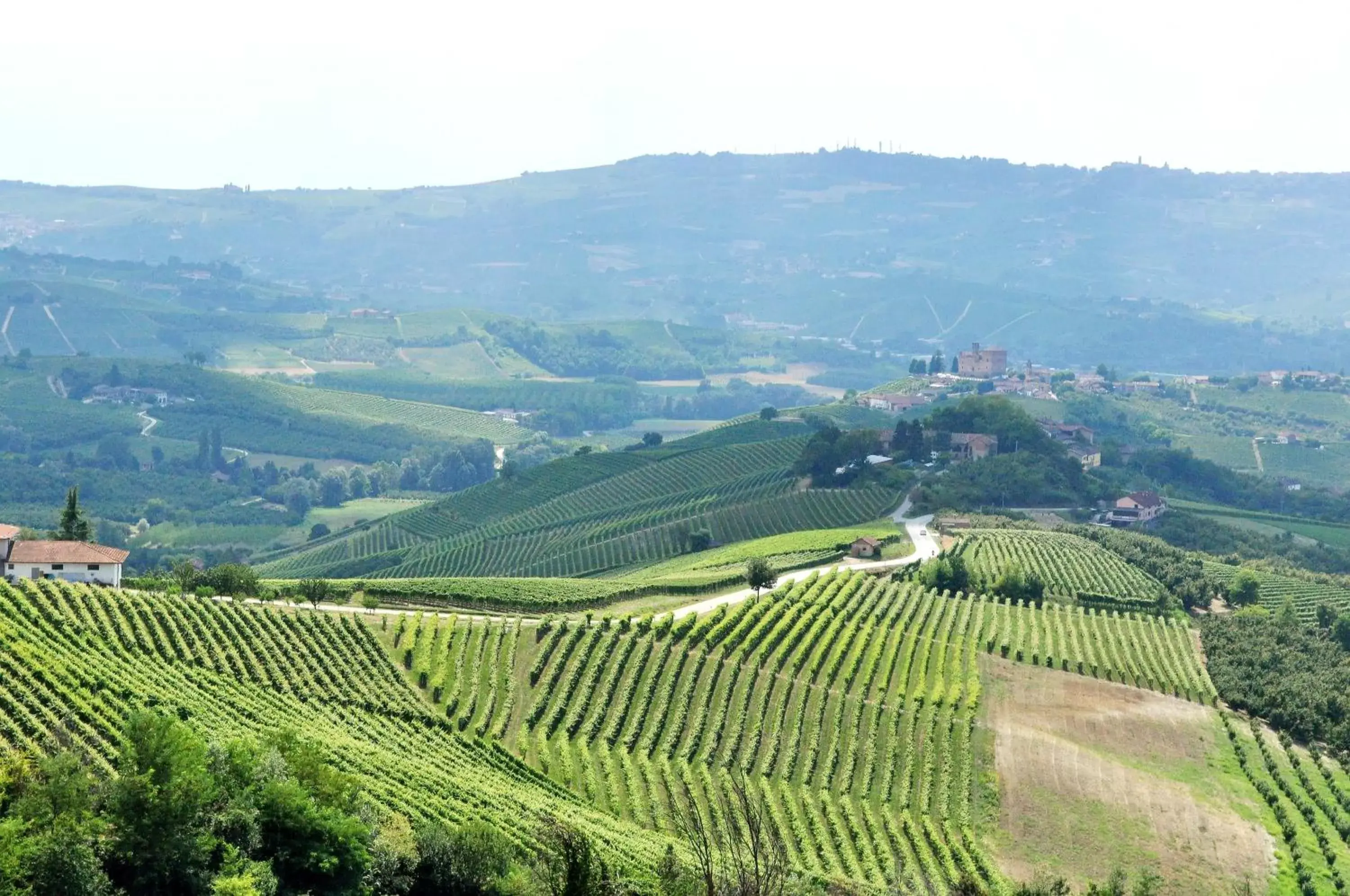 Bird's eye view, Natural Landscape in Villa Bellavista Alba, B&B