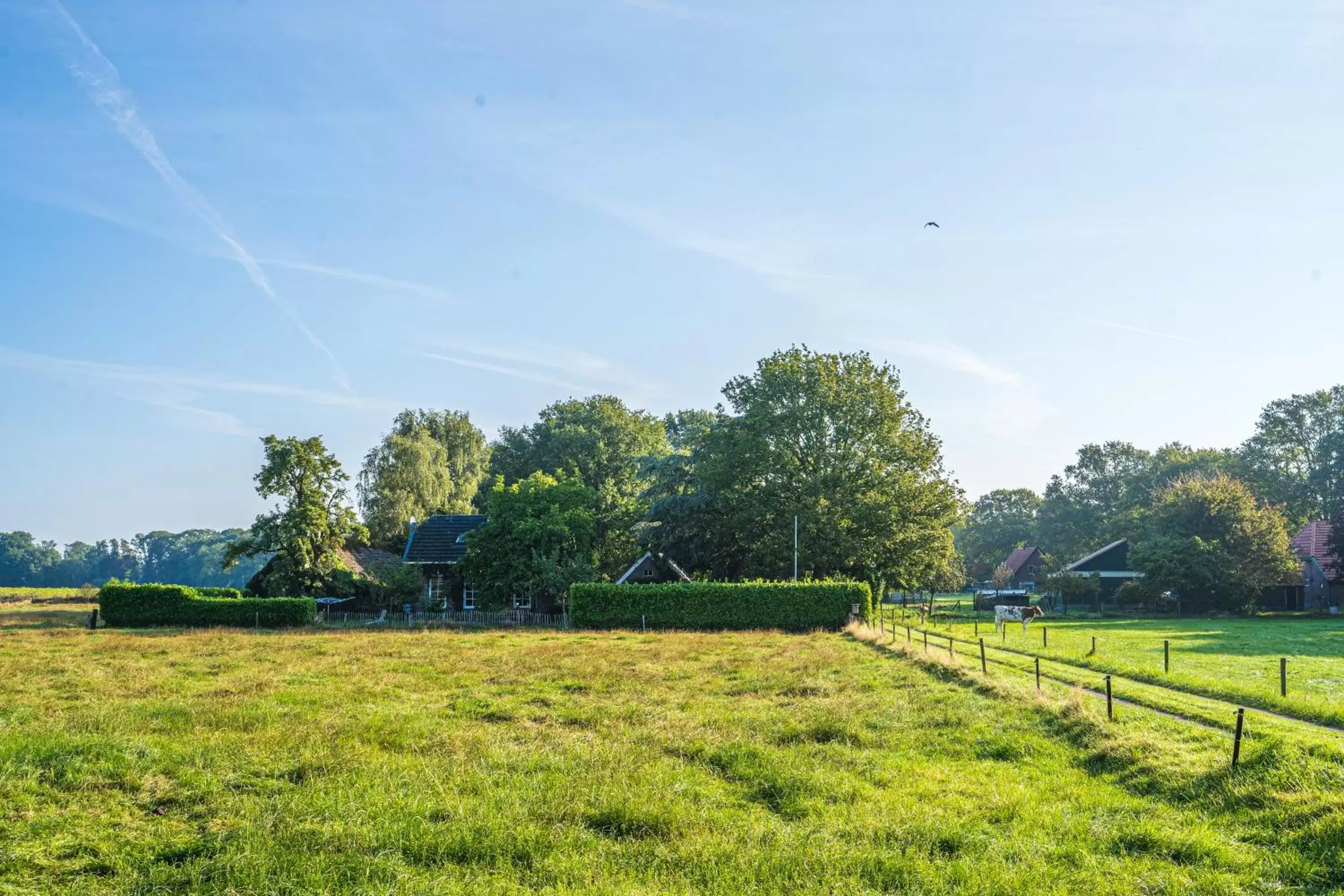 Garden in Sallandelijk Bakhuis