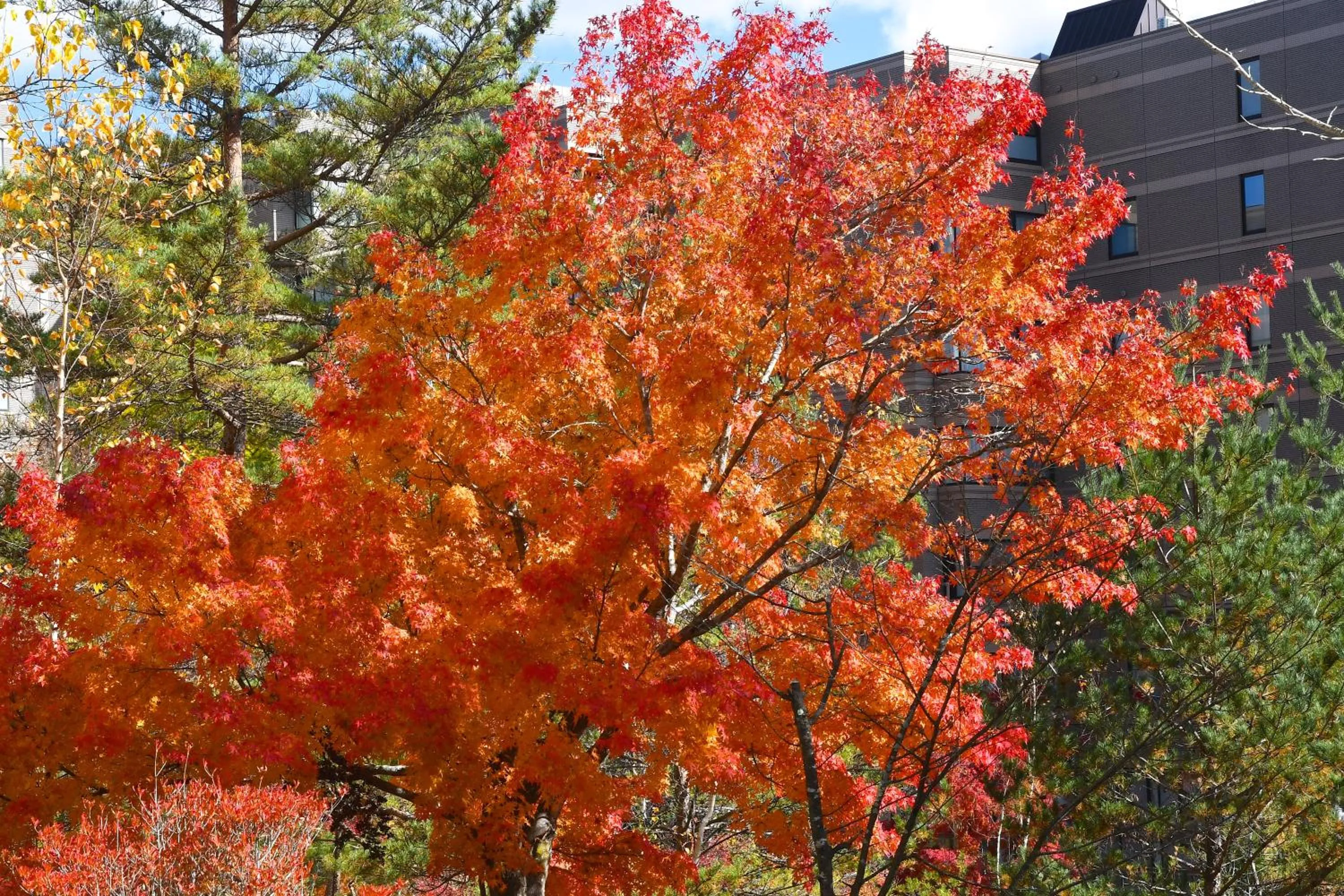 Facade/entrance in Karuizawakurabu Hotel 1130 Hewitt Resort