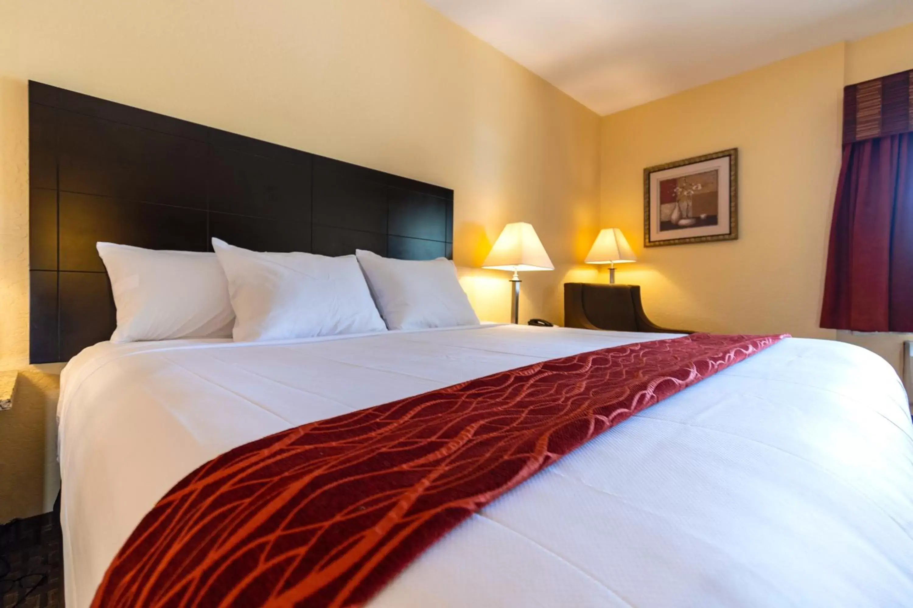 Bed in Comfort Inn Near Grand Canyon