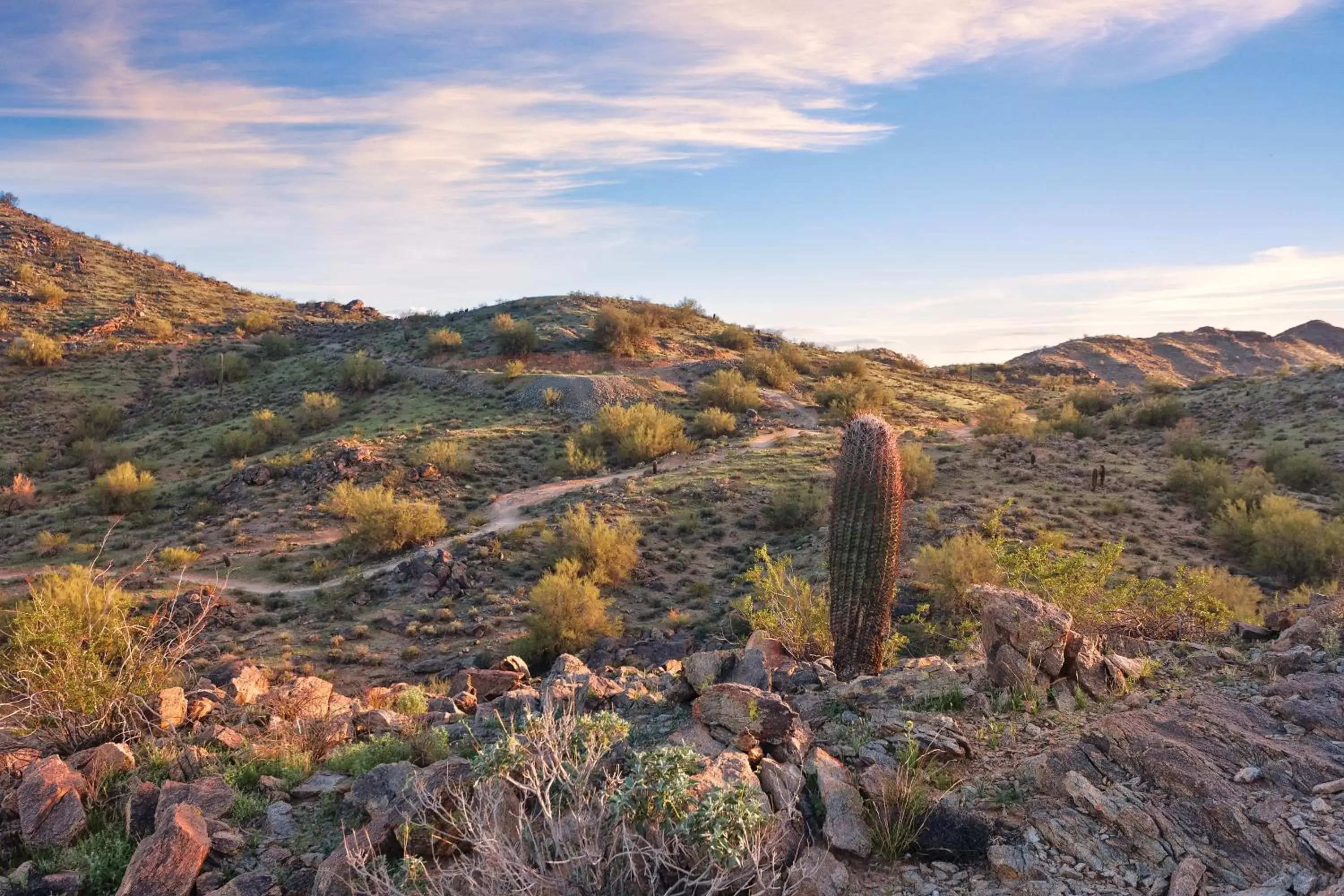 Other, Natural Landscape in Raintree at Phoenix South Mountain Preserve