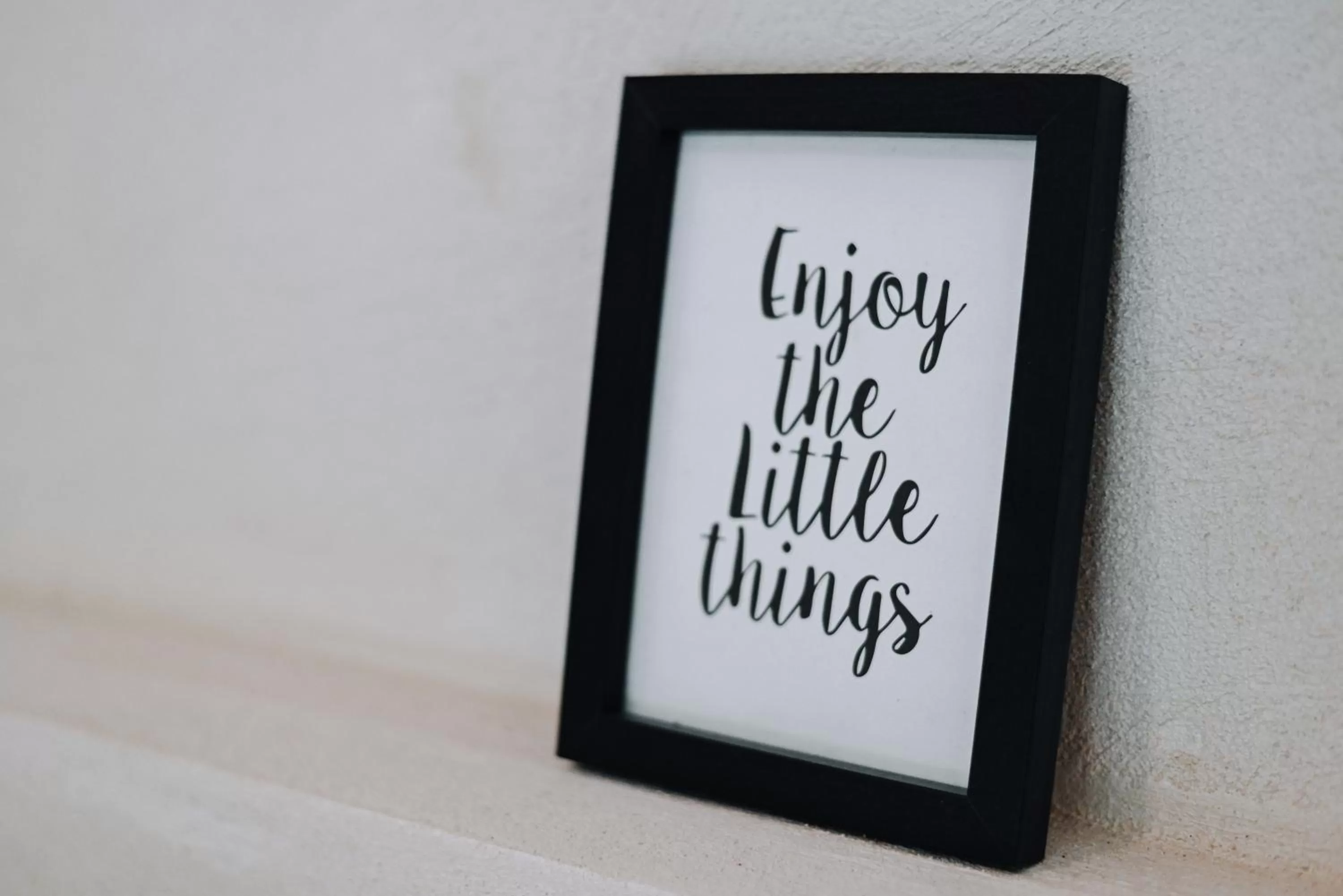 Decorative detail in Lunita Jungle Experience