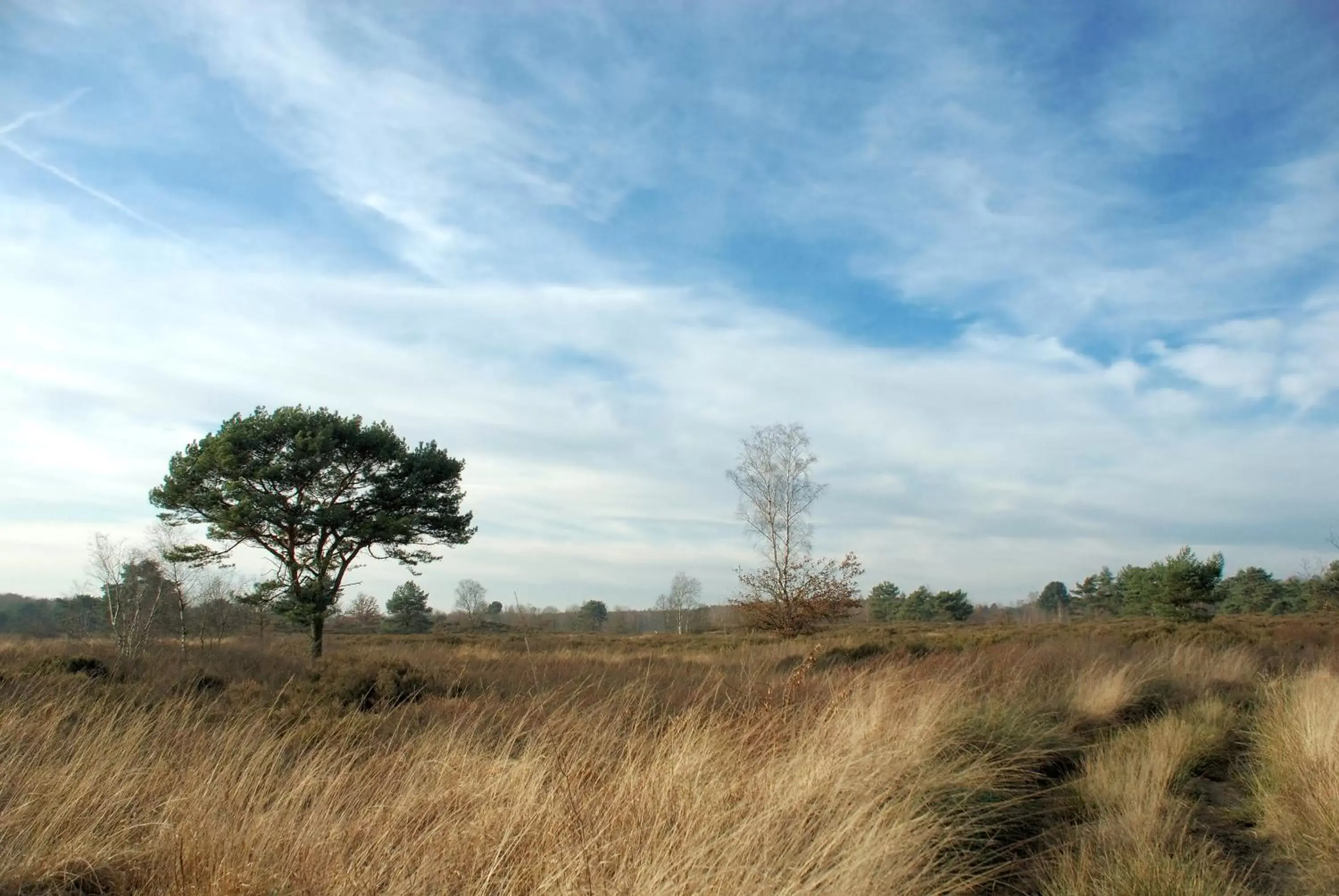 Area and facilities, Natural Landscape in Fletcher Hotel-Restaurant De Kempen