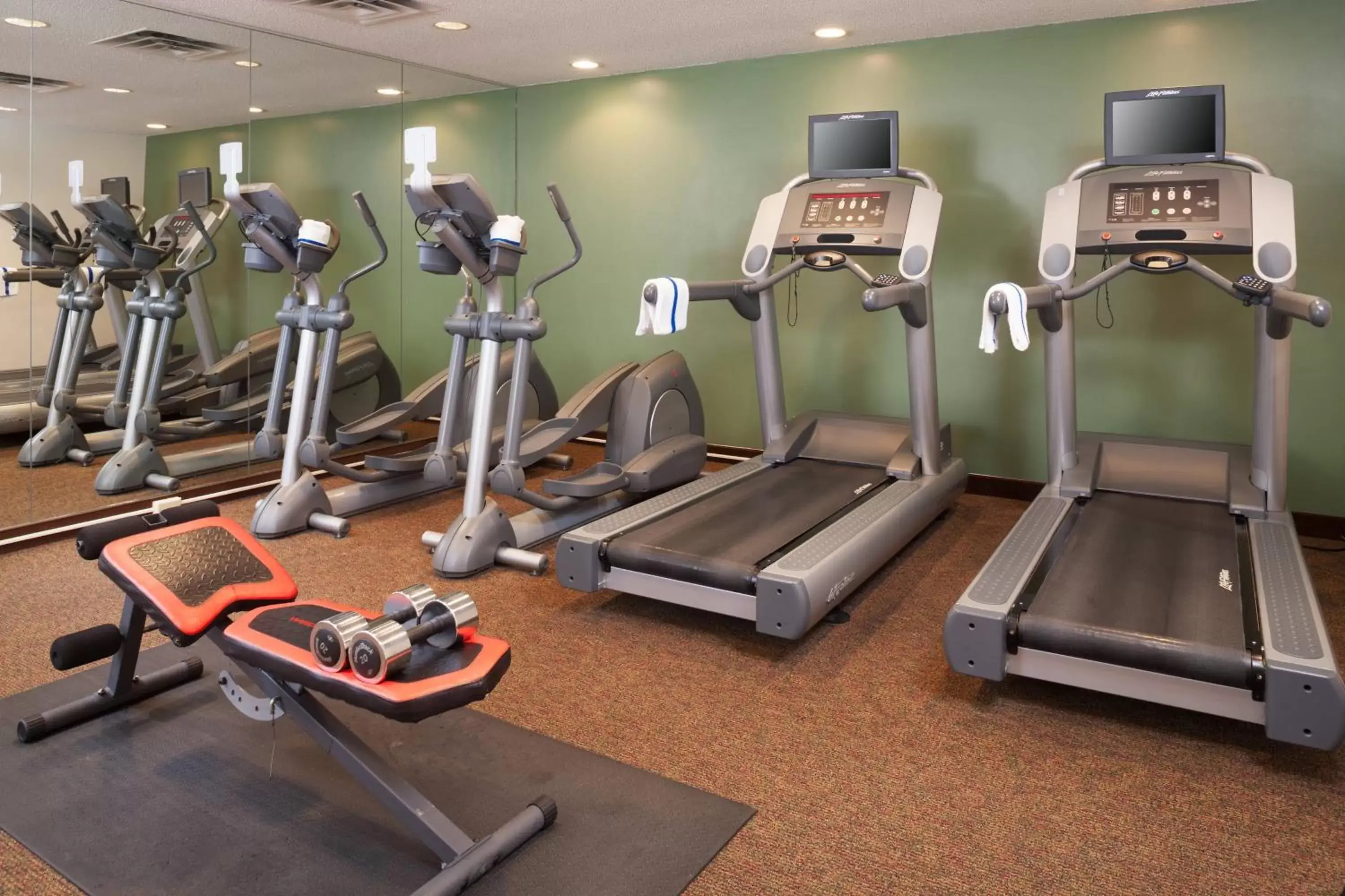 Fitness centre/facilities, Fitness Center/Facilities in Residence Inn Minneapolis Eden Prairie